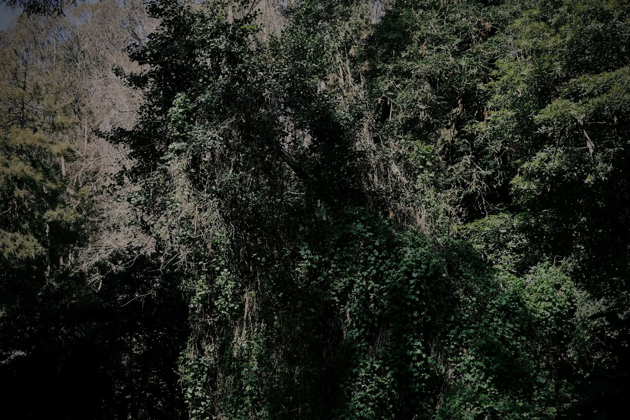 DSCF8221.JPG