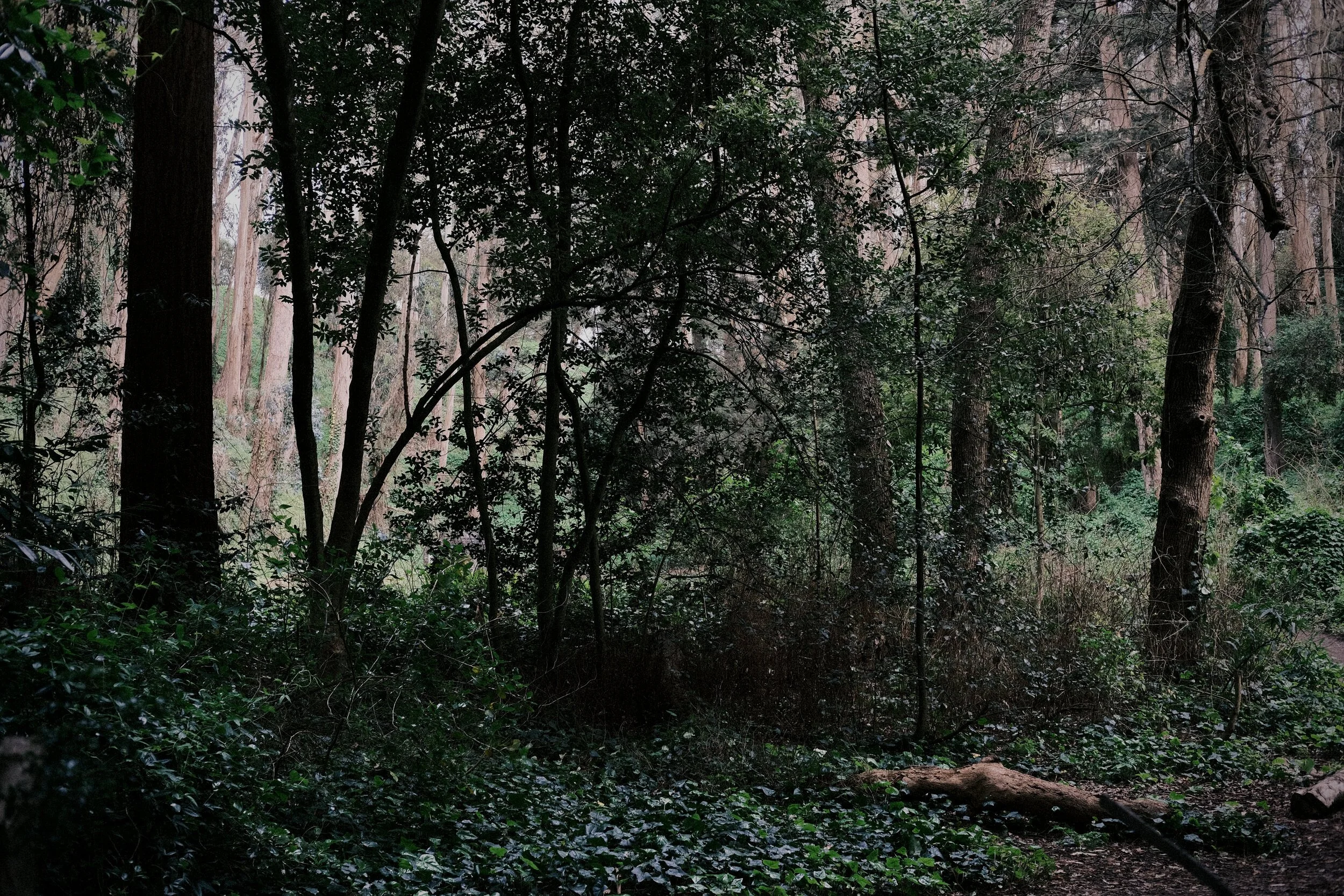 DSCF8558.JPG