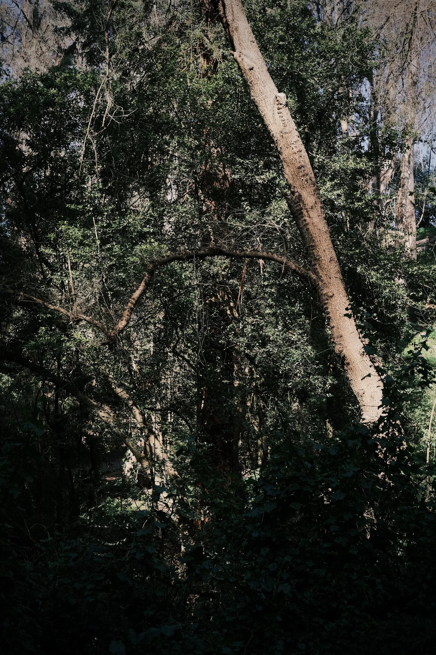 DSCF8743.JPG