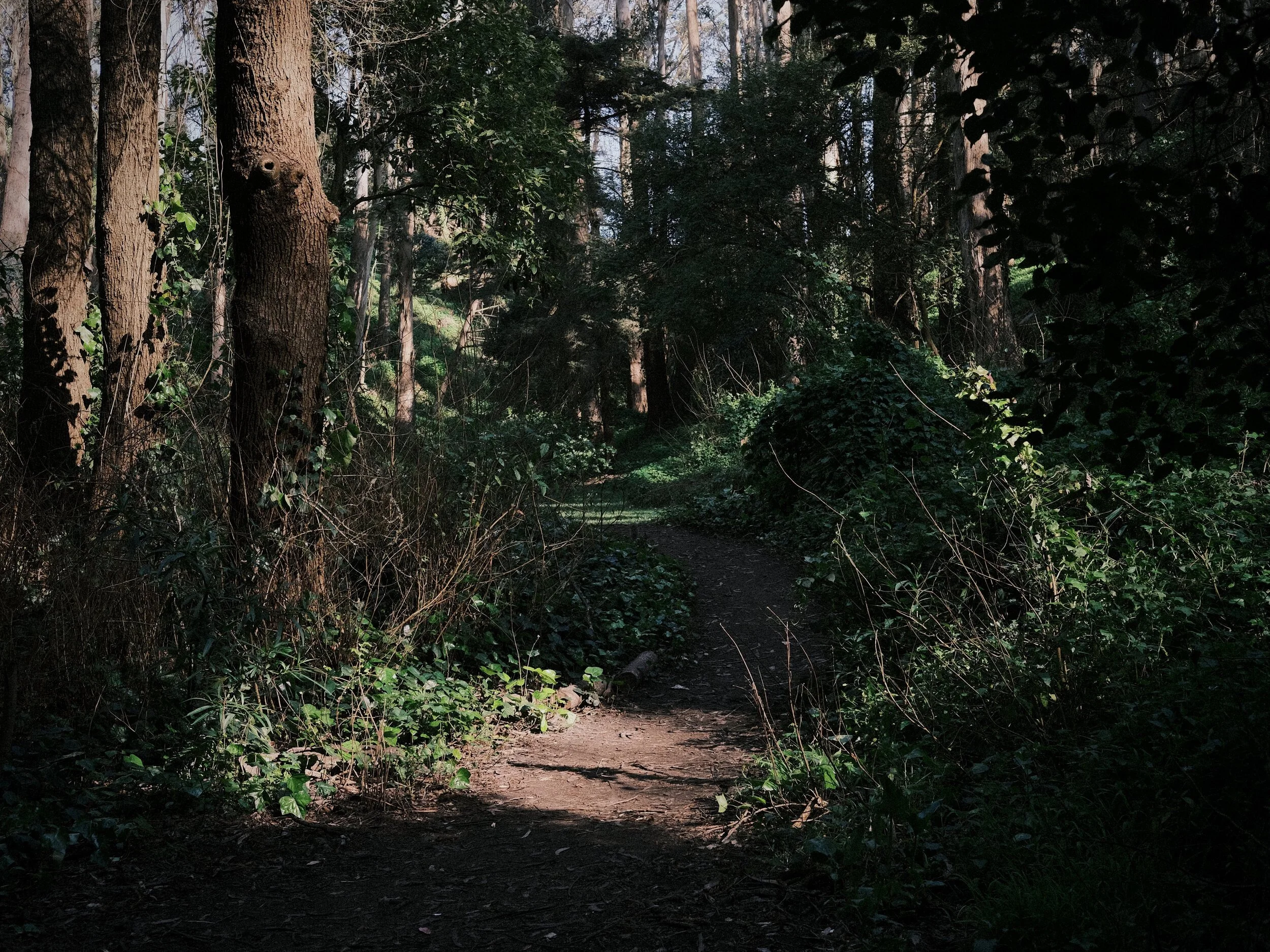 DSCF8830.JPG