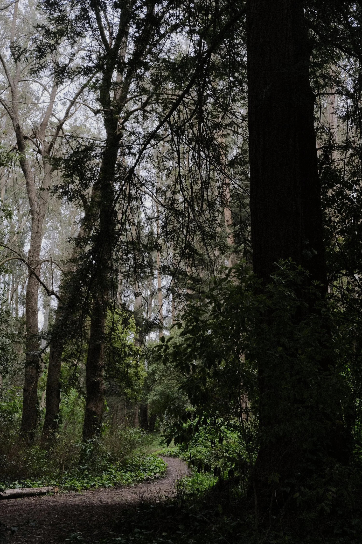 DSCF9859.JPG