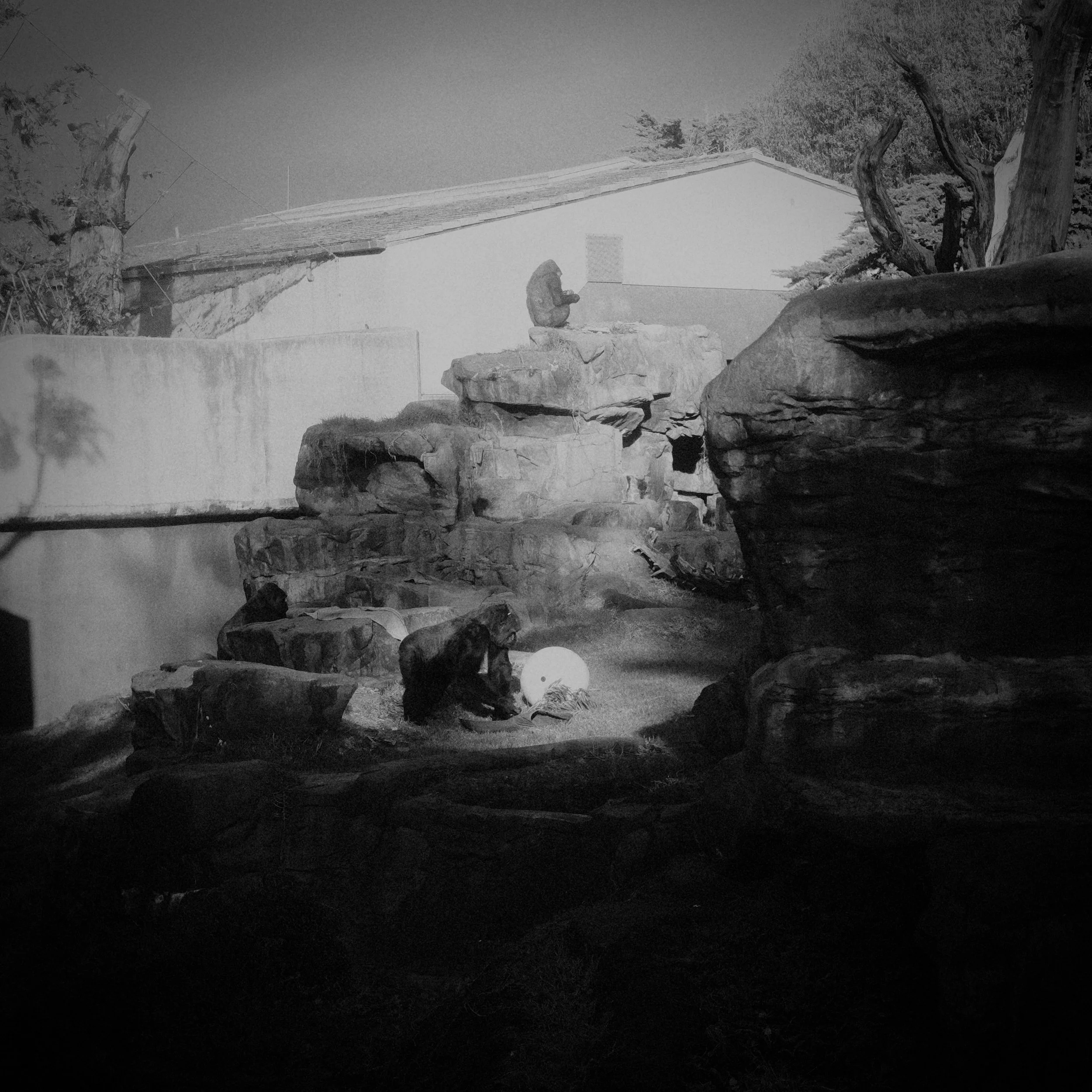 DSCF0345.JPG