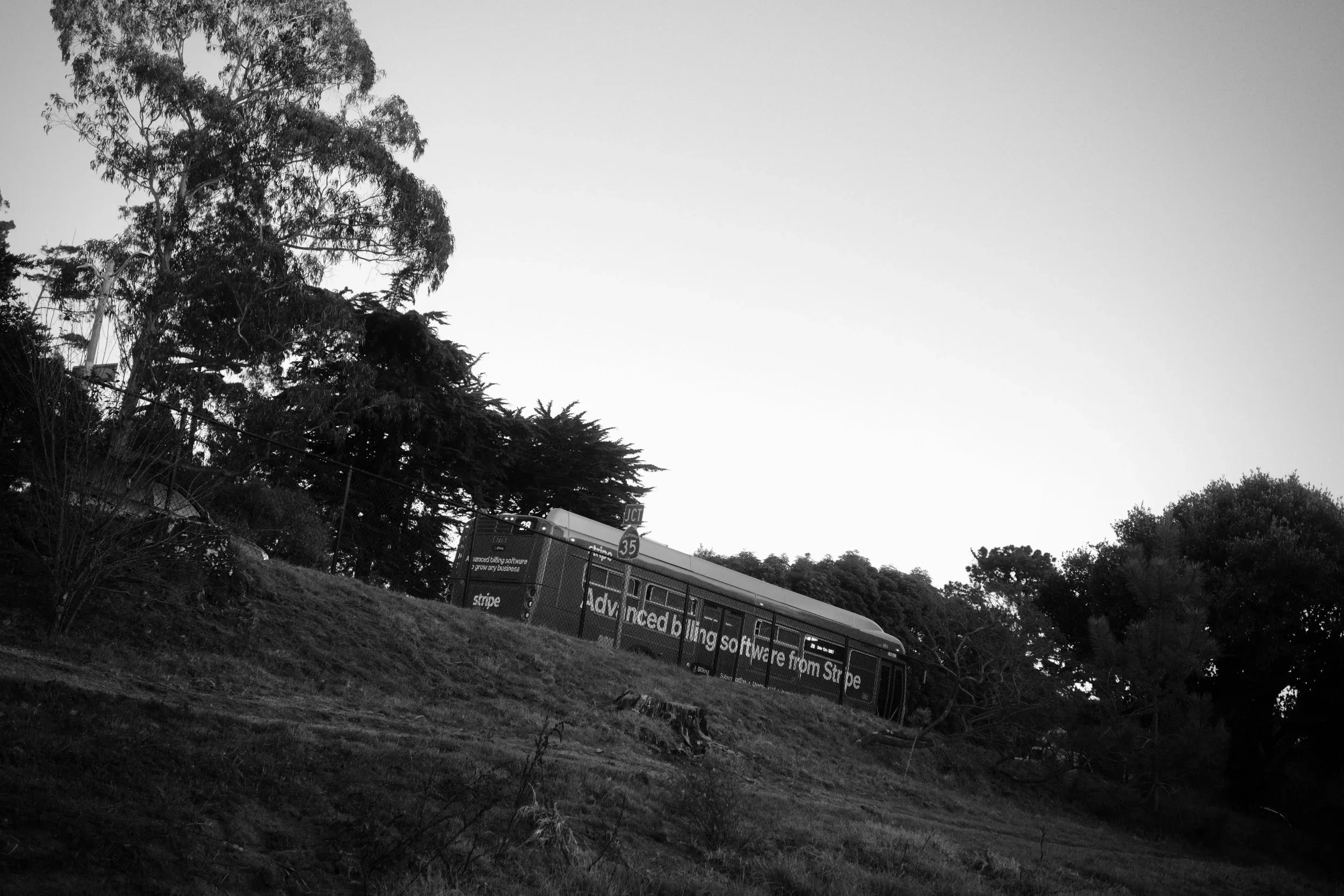 DSCF5187.webp