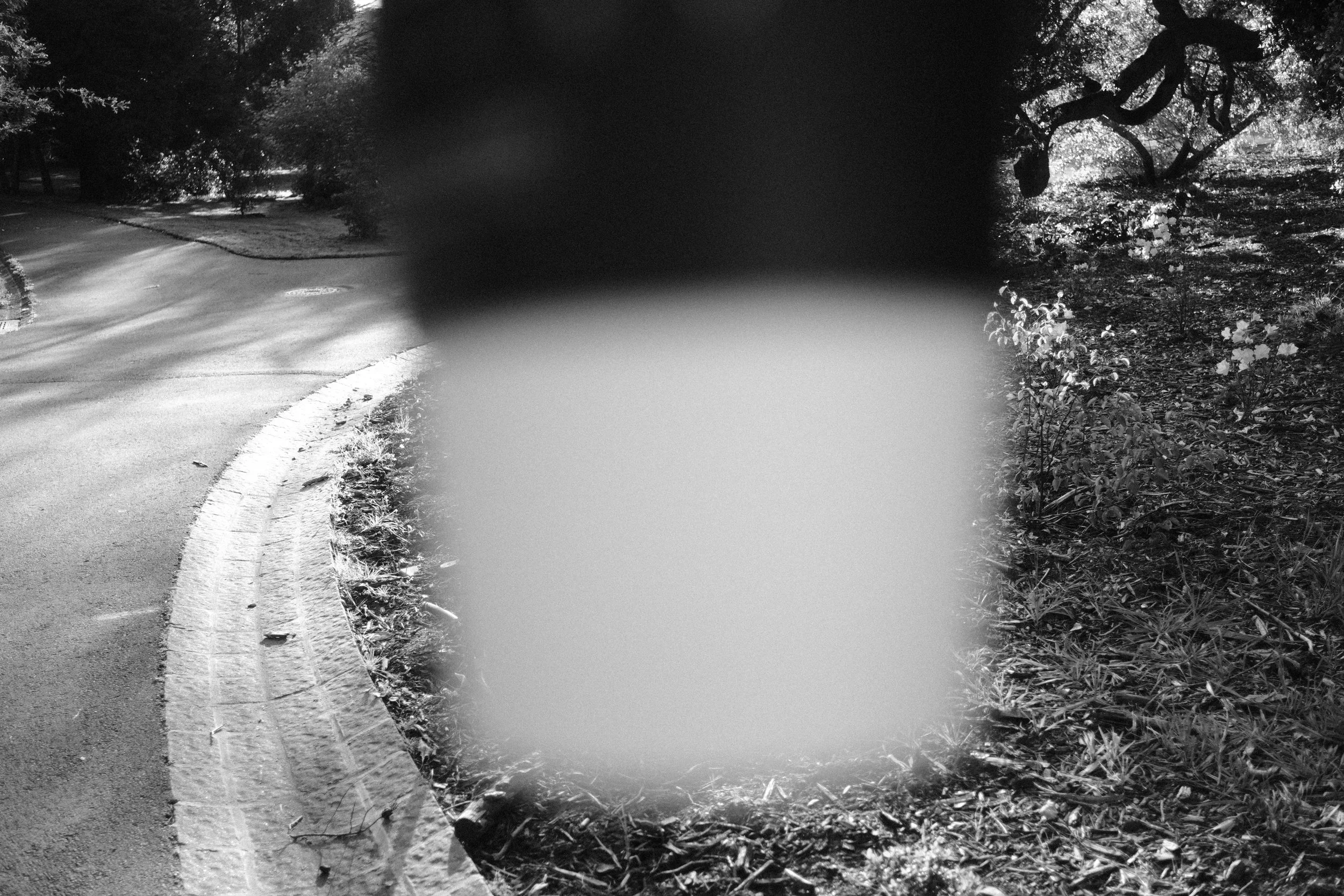DSCF6278.webp