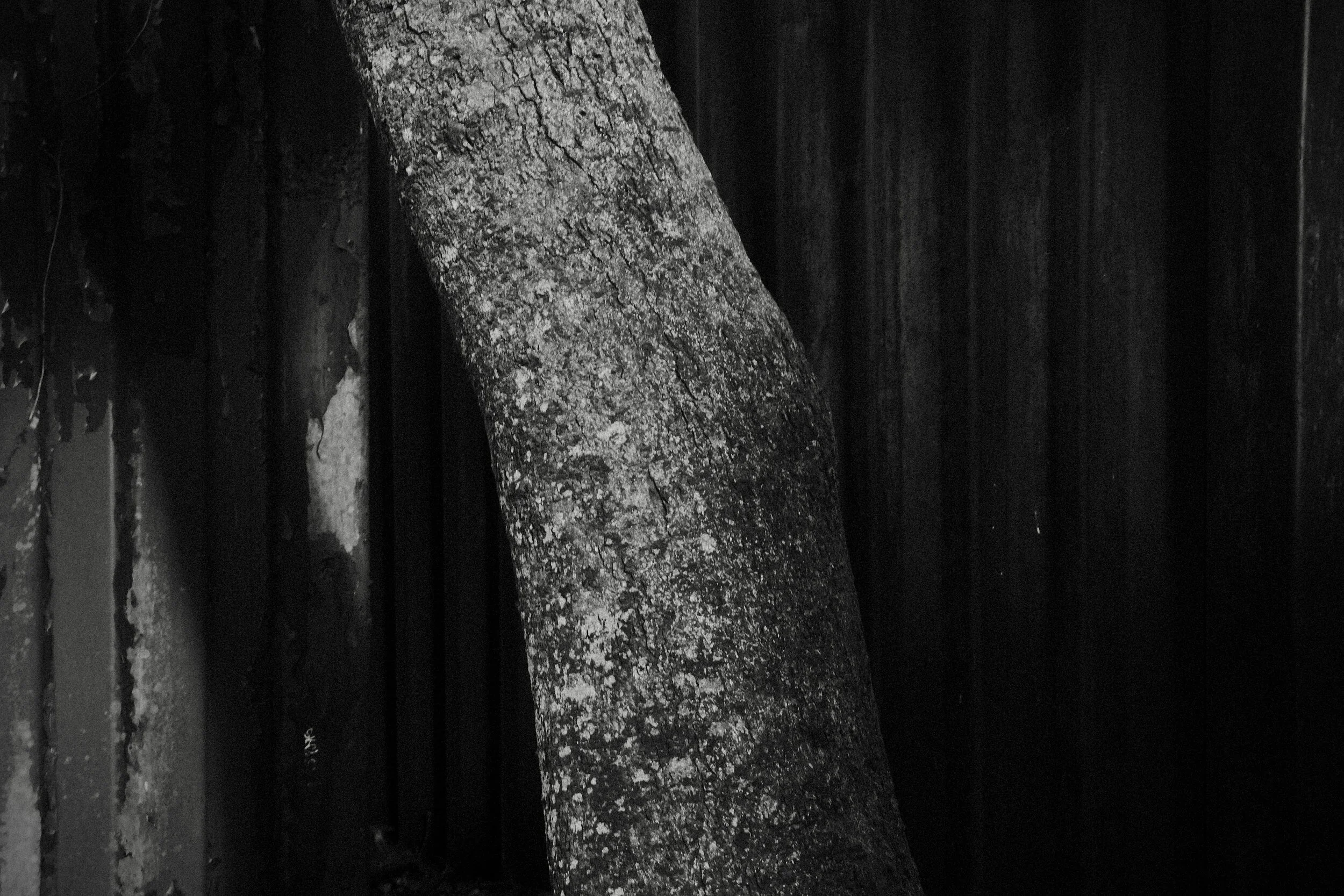 DSCF0014.webp