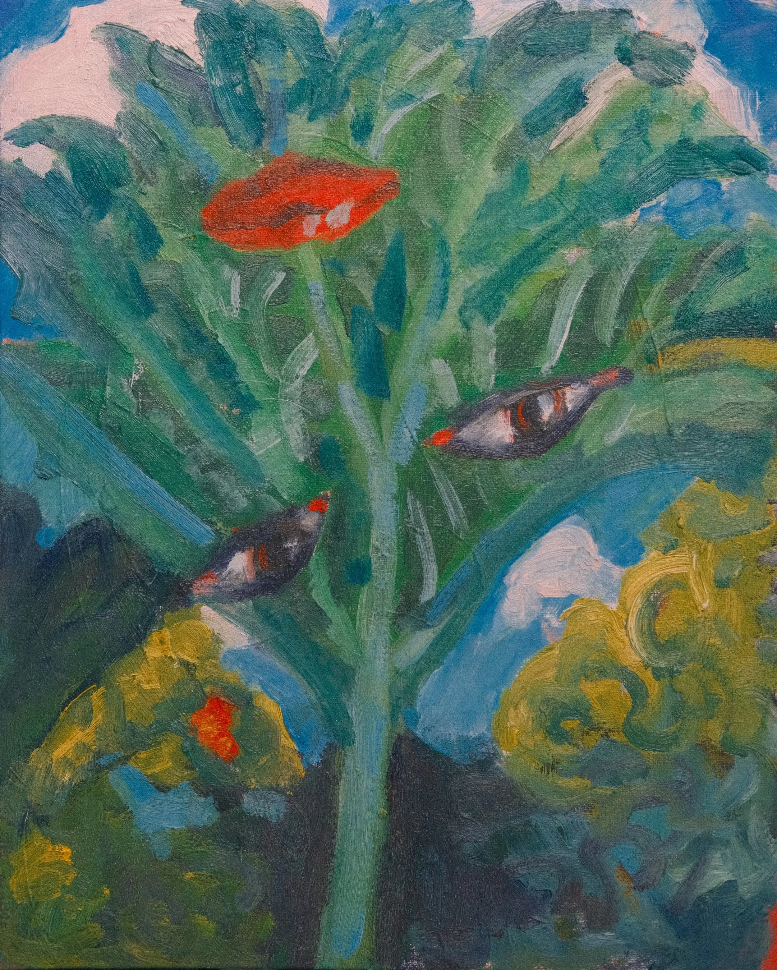 DSCF1849.webp