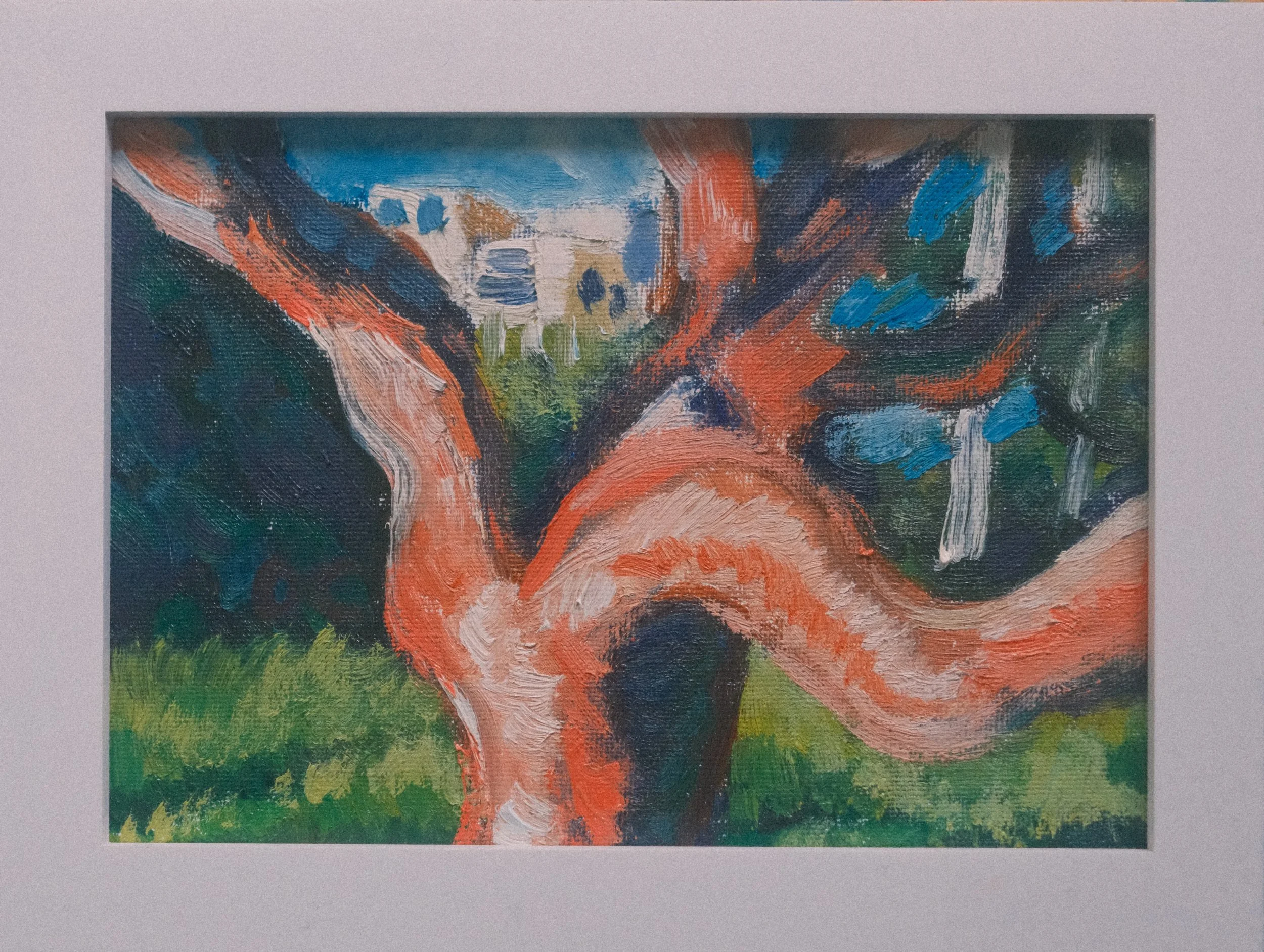 "Stern Grove"