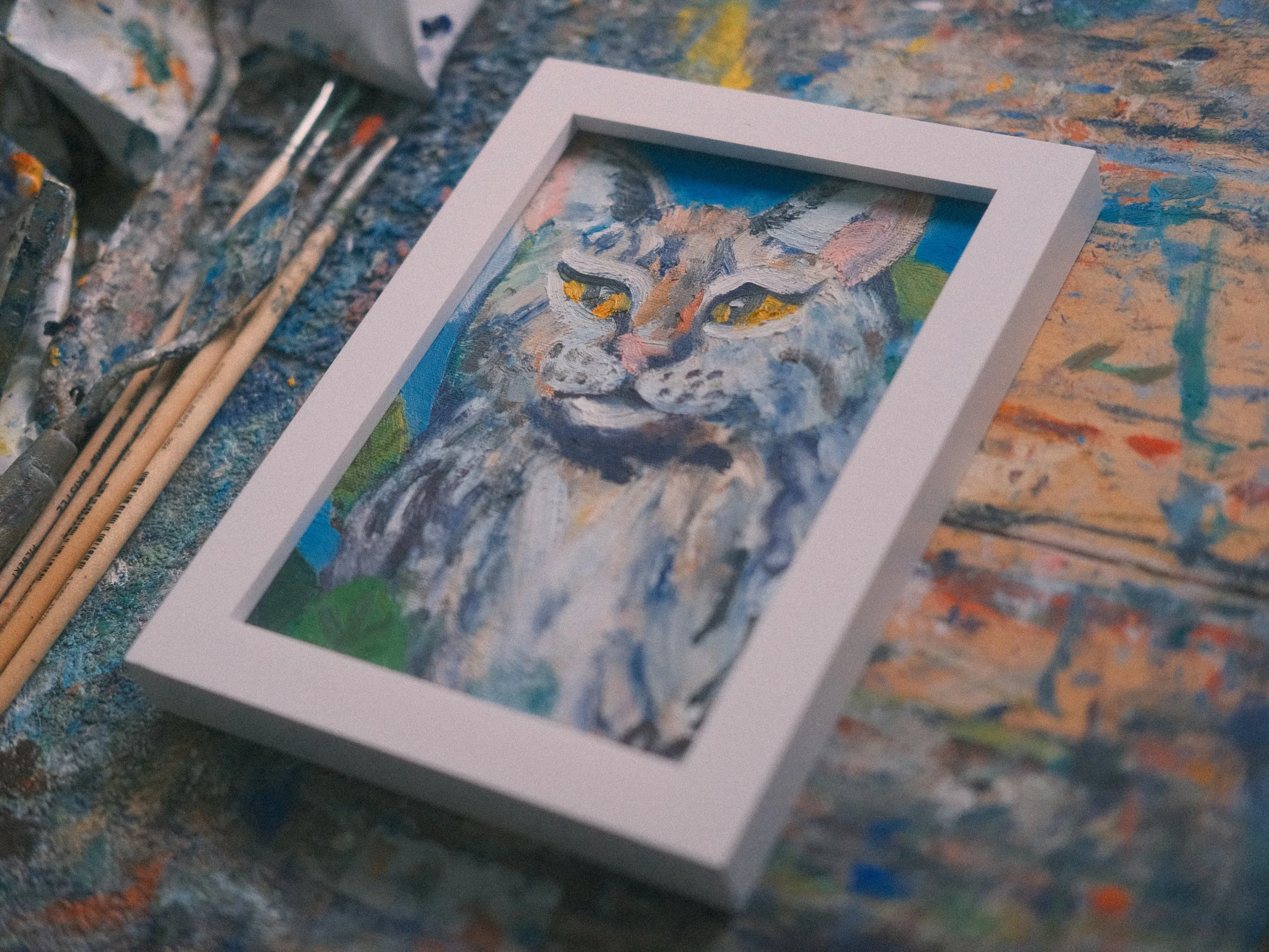 "Cleo the Cat Owl"