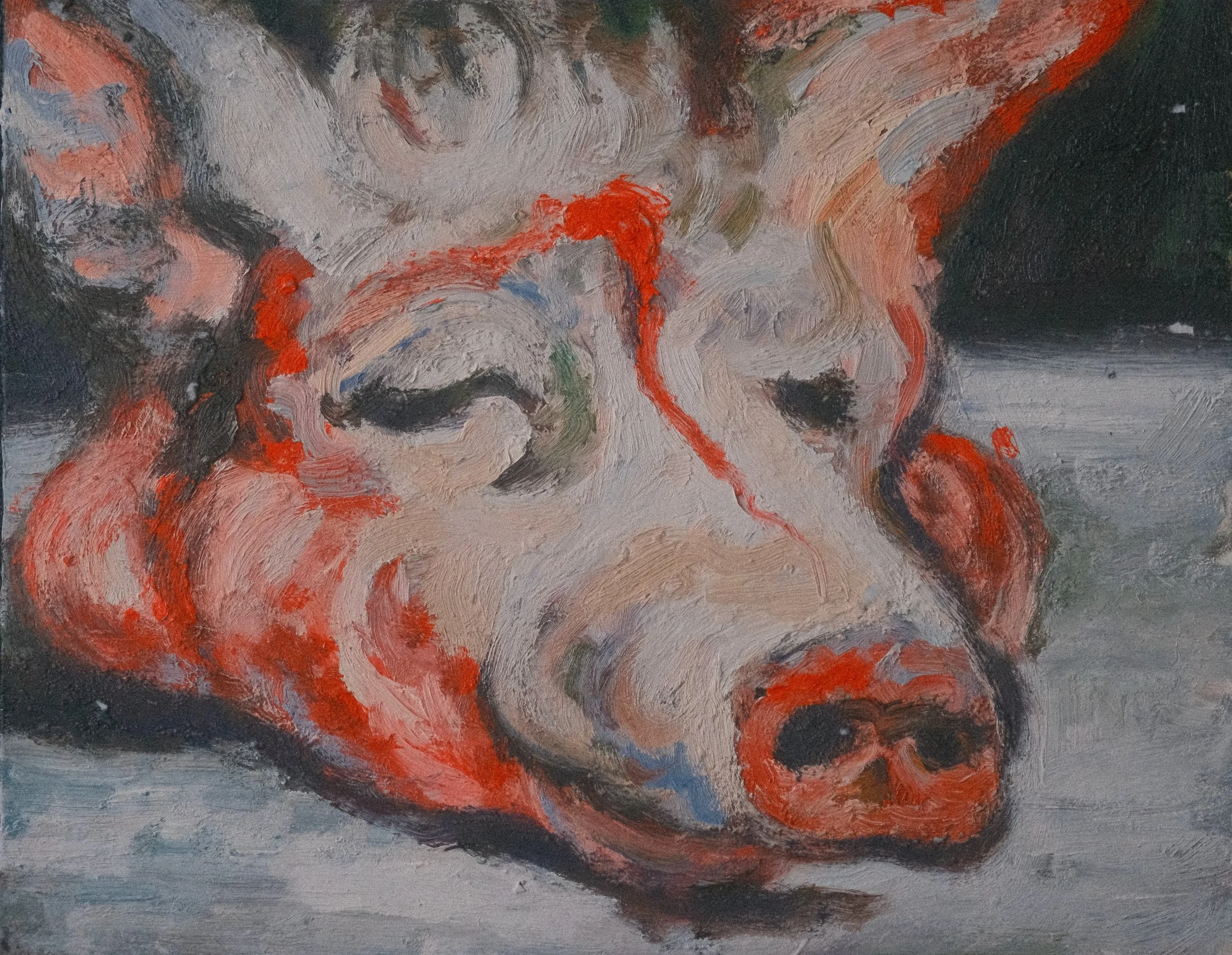 Pig's Head on a table