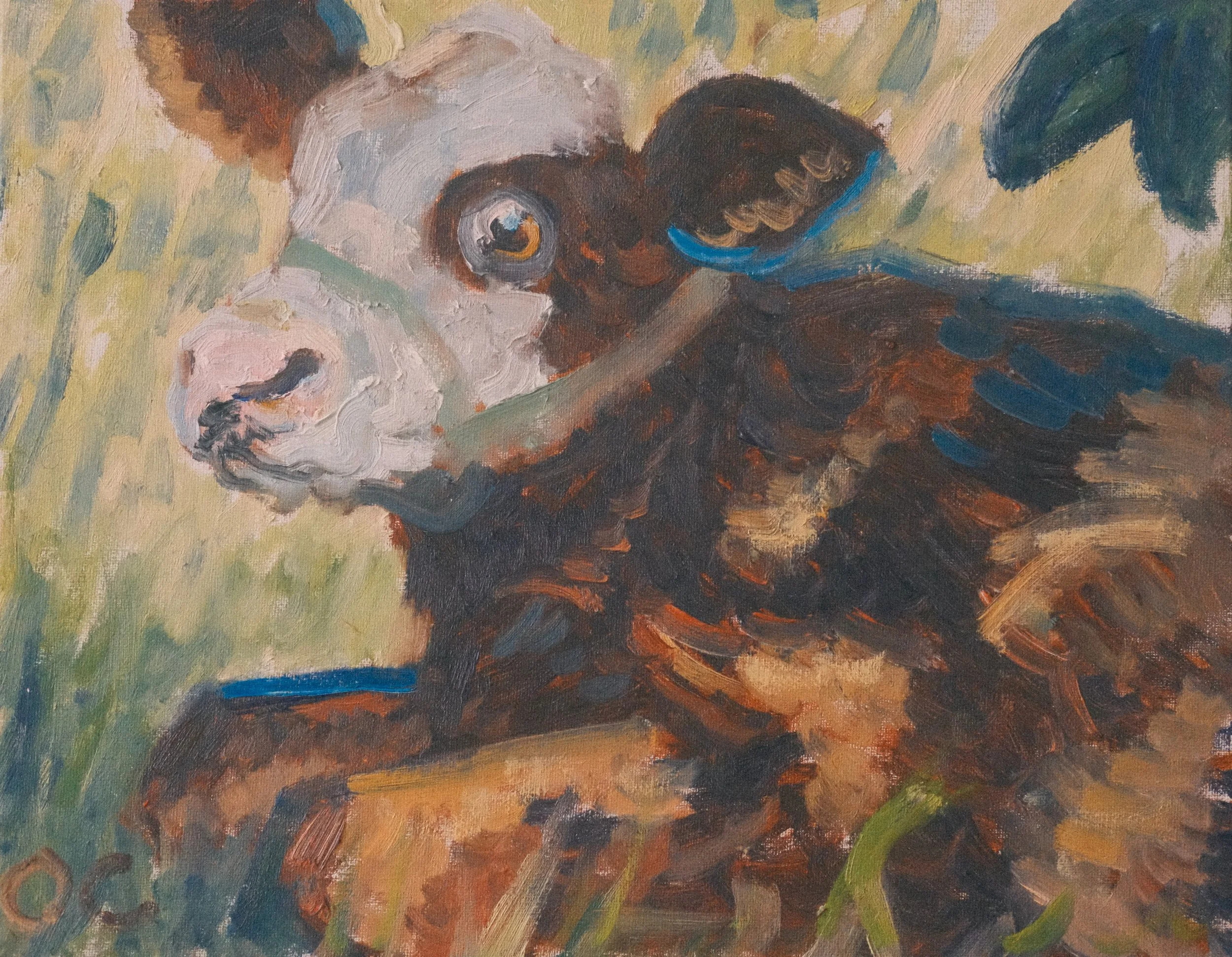 Cow Study