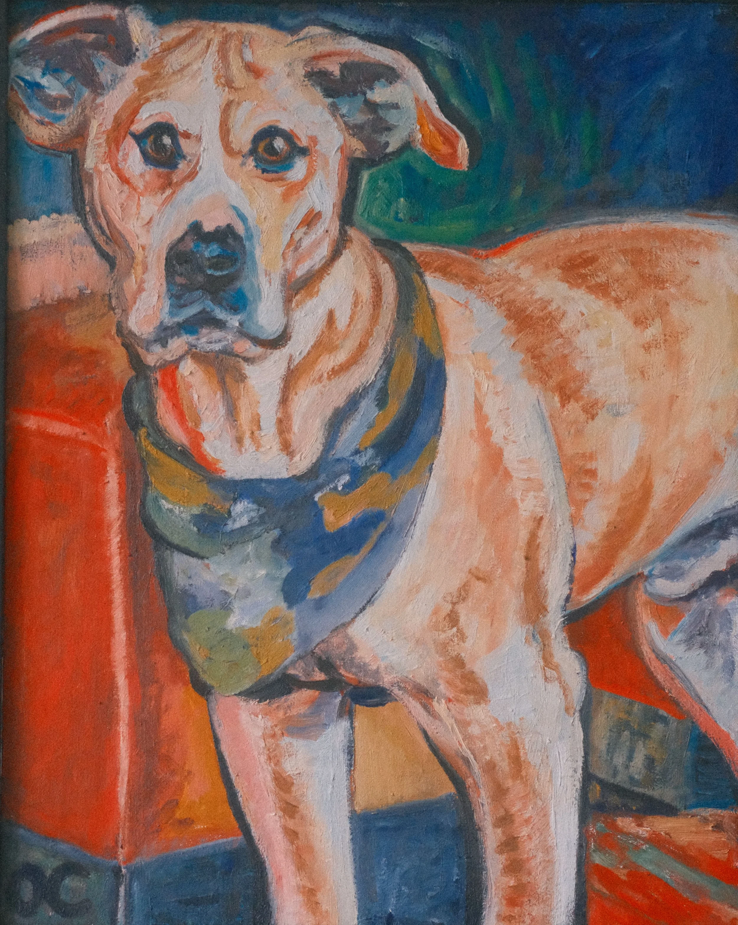 Bar Dog