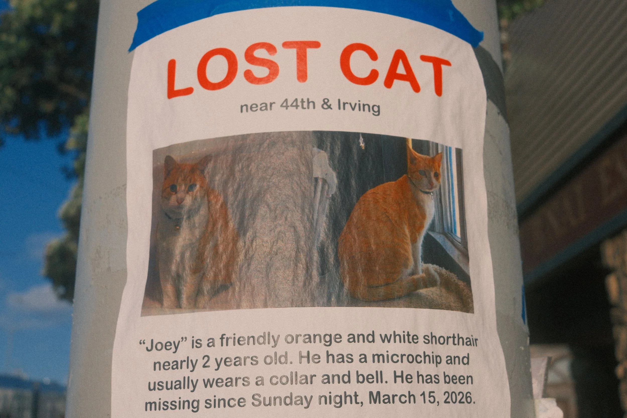 DSCF4886.jpeg