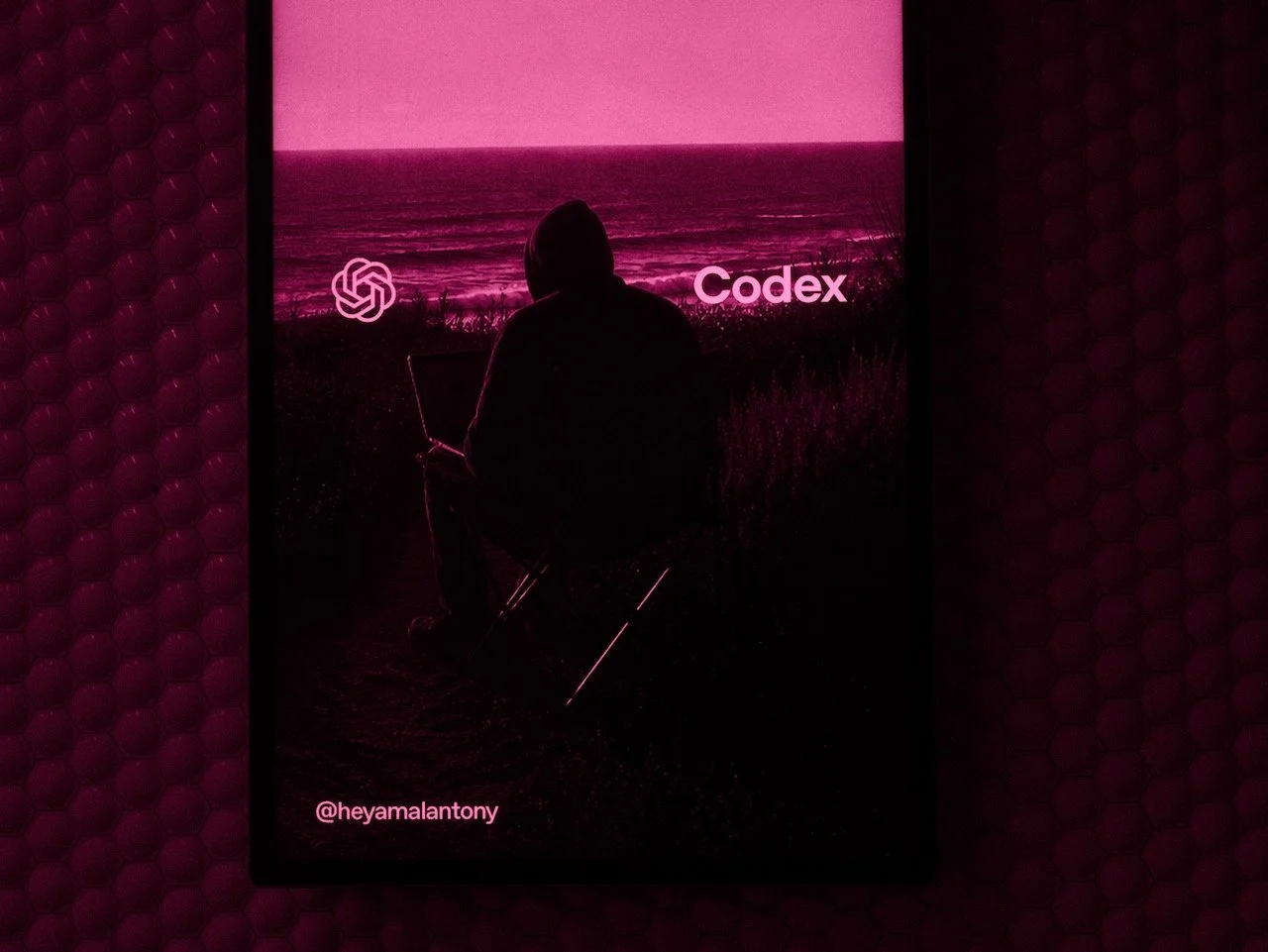 DSCF0159.jpeg