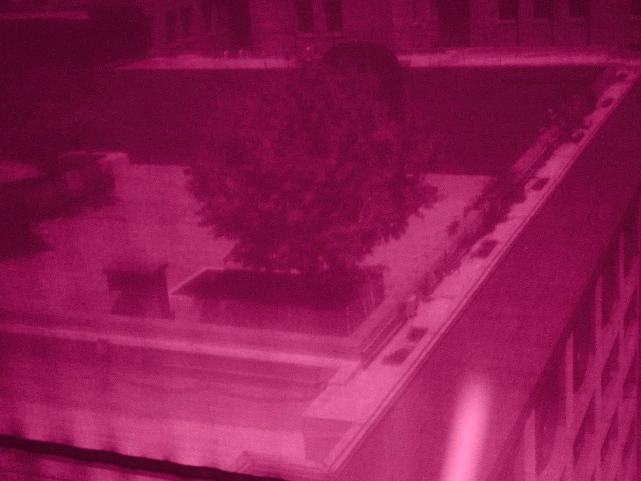DSCF0197.jpeg
