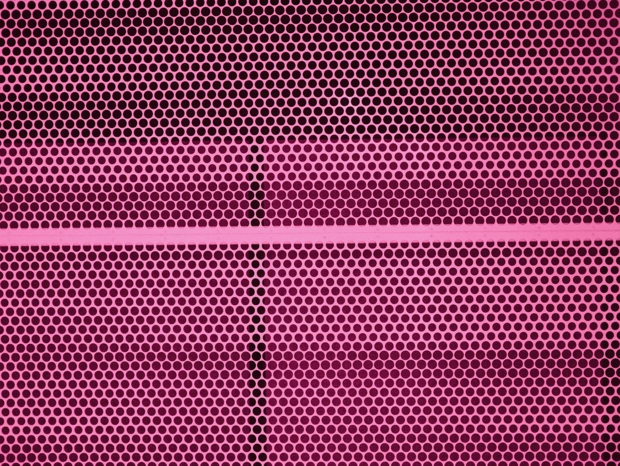 DSCF0193.jpeg