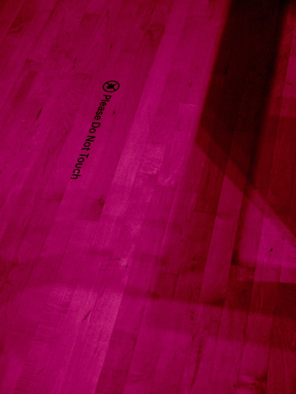 DSCF0205.jpeg