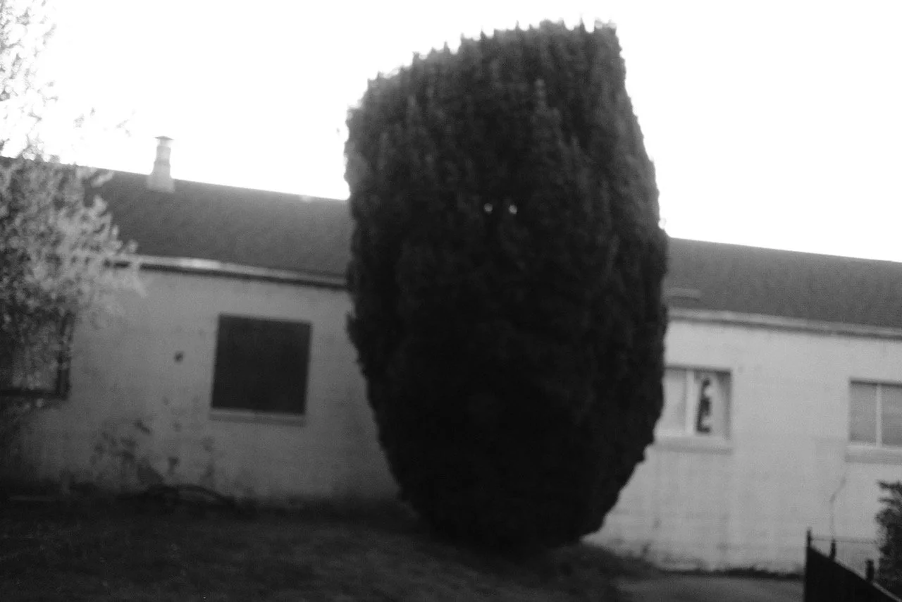 DSCF4417.jpeg