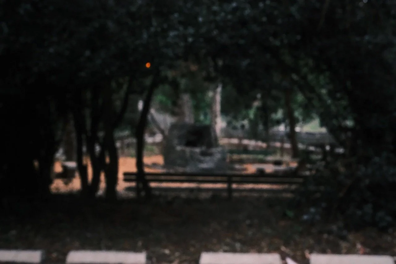 DSCF9705.jpeg