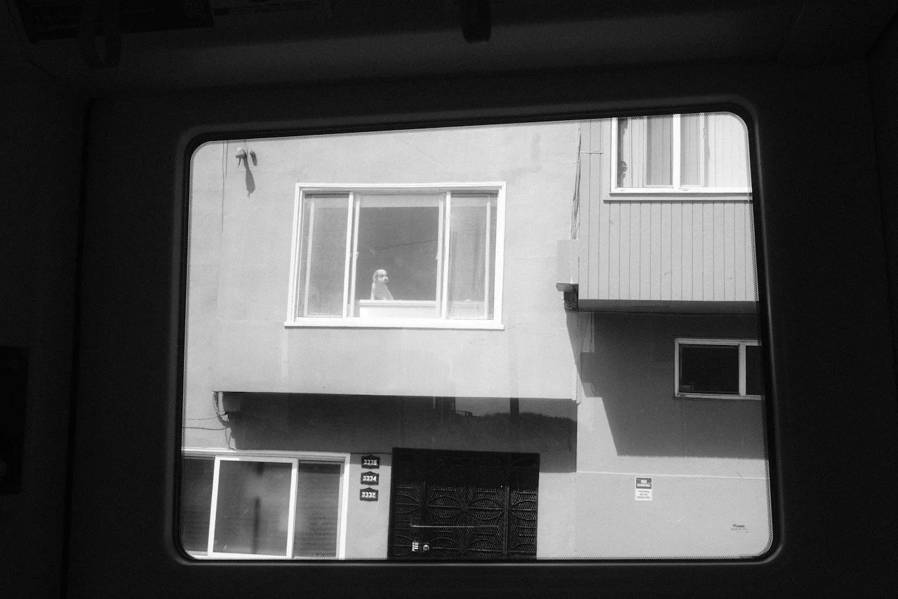 DSCF2007.jpeg