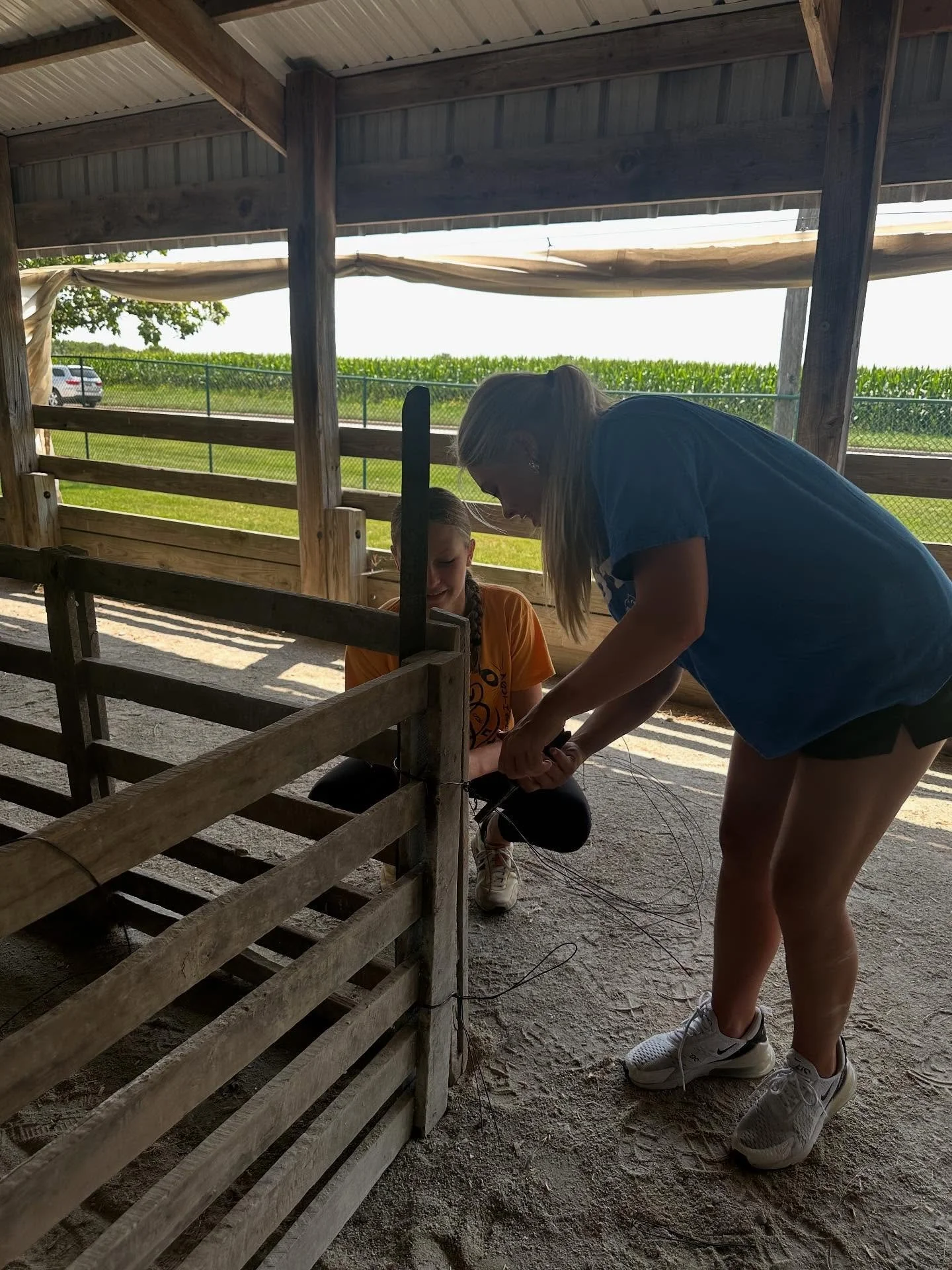 It's Will County Fair week! It was another humid day but today, but FFA members came out to help set up the hog barn!

Good luck to everyone this week showing, working, volunteering, and visiting the fair this week!