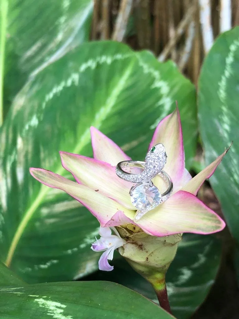 WhatsApp Image 2021-05-05 at 4.50.35 PM.jpeg