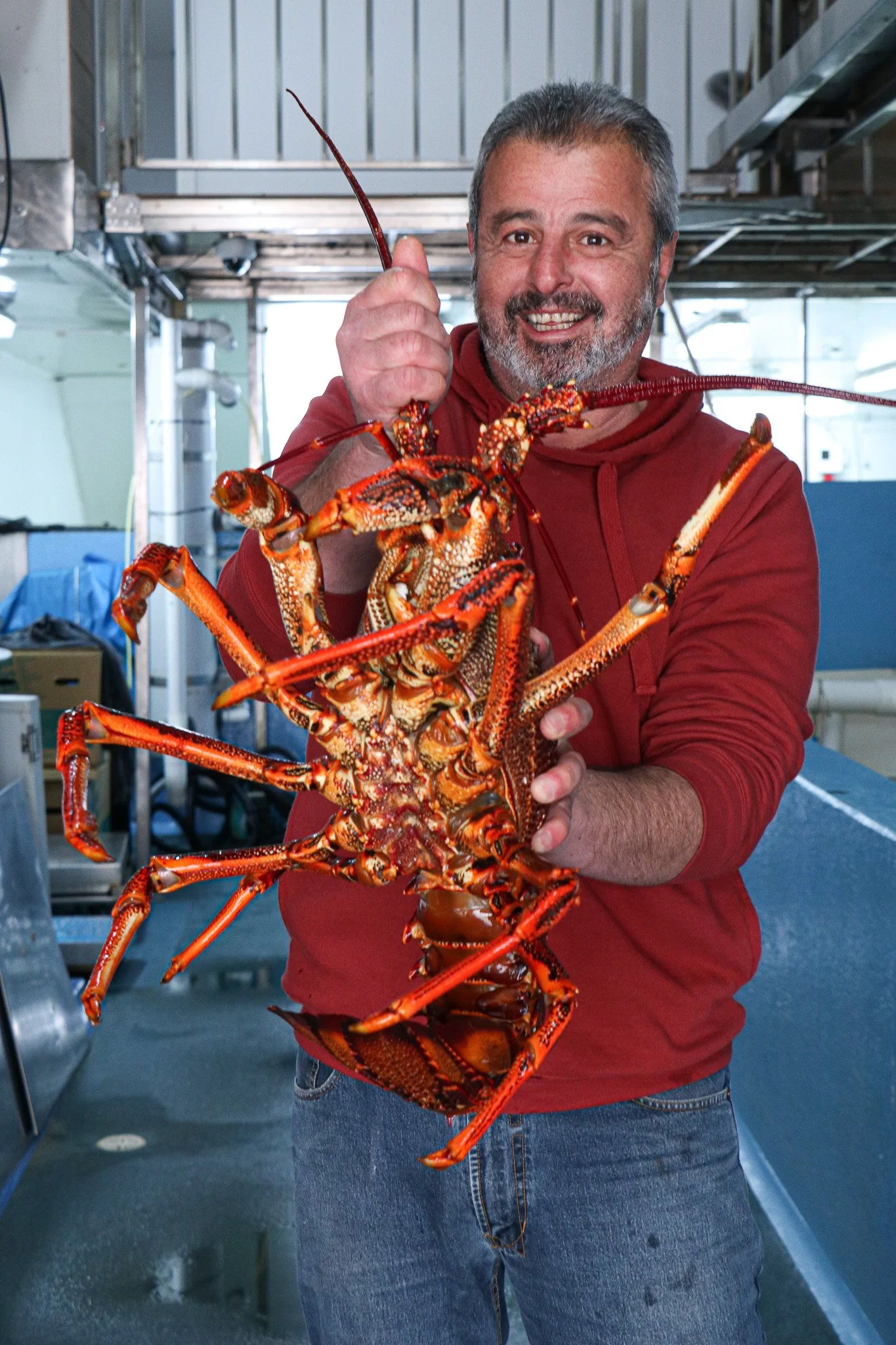 Contact Vasiliki Southern Rock Lobsters