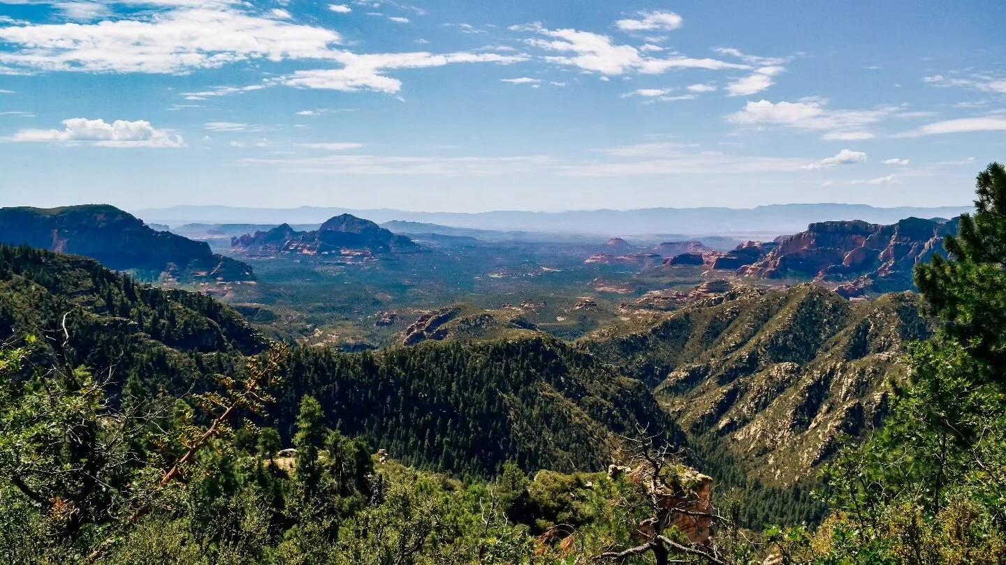 &quot;In our progress towards the goal, we ever see more and more enchanting scenery.&quot;
- Mahatma Gandhi