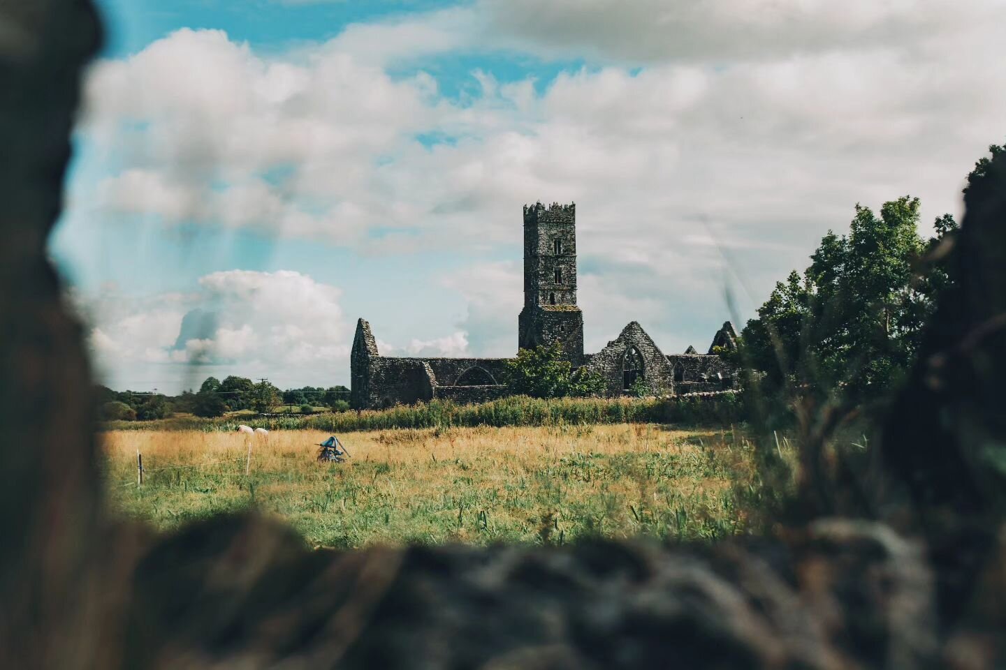 &quot;We may have bad weather in Ireland, but the sun shines in the hearts of the people, and that keeps us all warm.&quot;
- Marianne Williamson