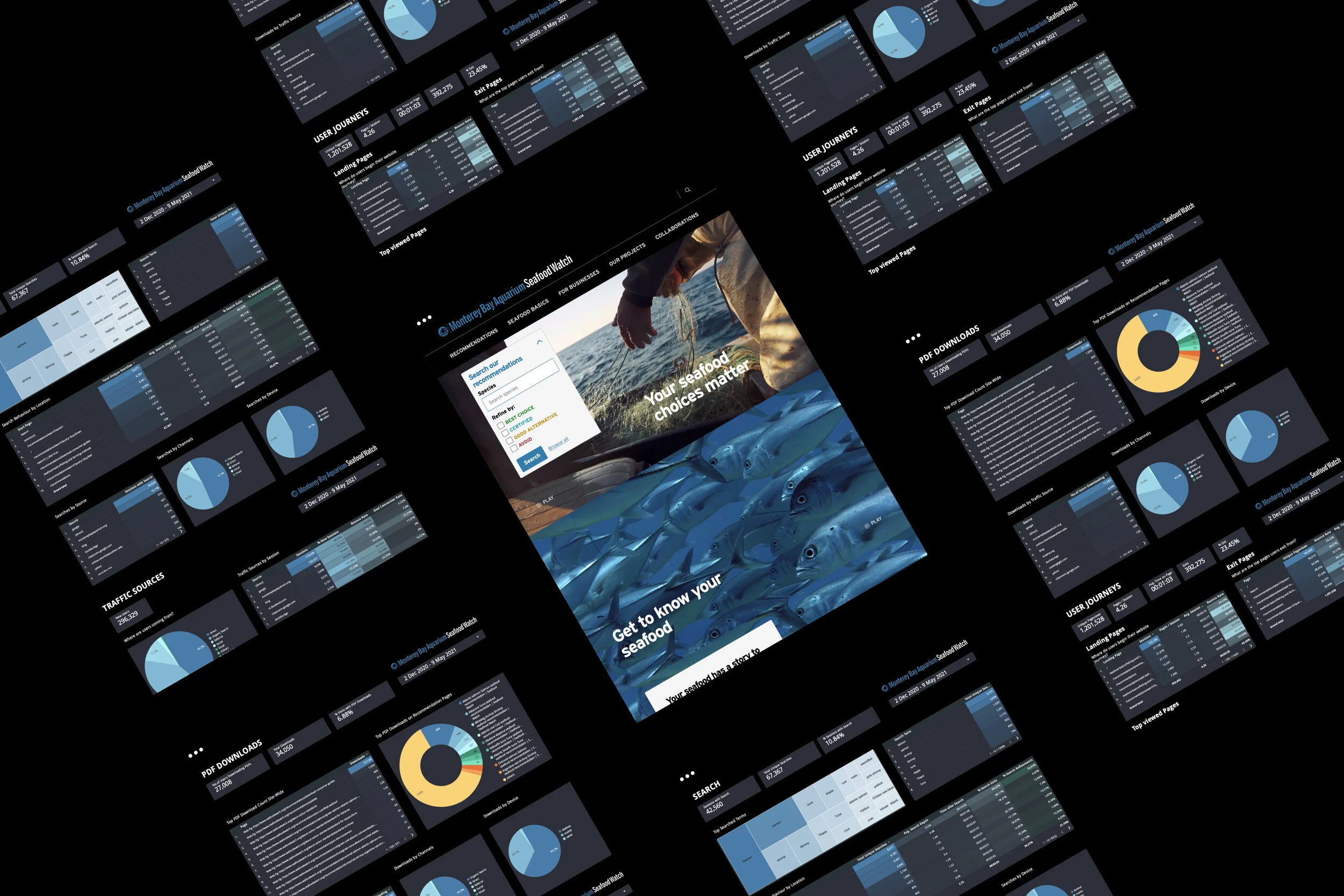 The Monterey Bay Aquarium Seafood Watch Program