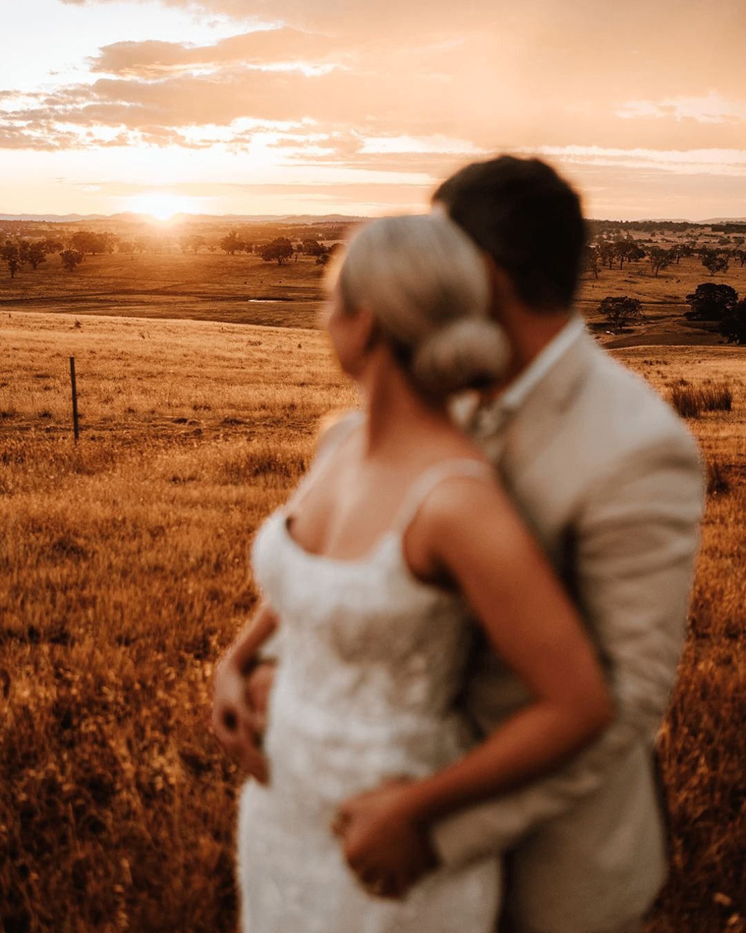 Bathed in the golden rays of the setting sun, Petrichor Farm transforms into a canvas painted with the most ethereal hues. 🌅✨ It's moments like these that remind us of life's tranquil beauty and the timeless grace of nature. We'd love for this seren
