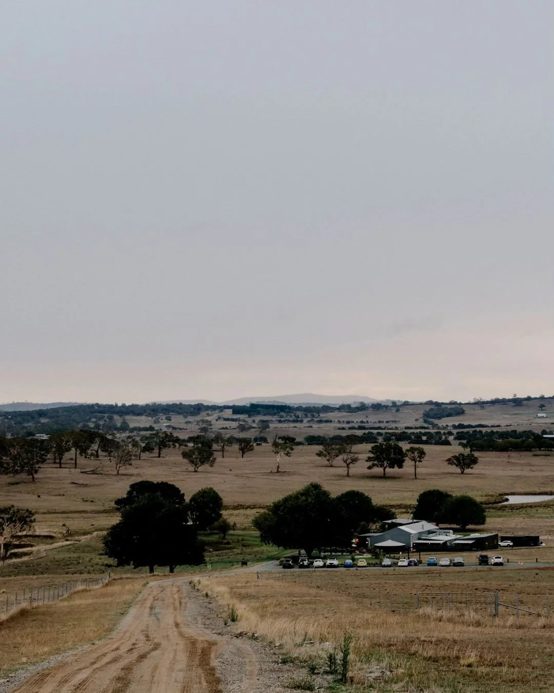🌿 Farm Tour &mdash; Saturday, 18th October 🌿
If you&rsquo;ve been dreaming of a countryside wedding &mdash; think golden paddocks, long tables, and that relaxed, elegant vibe that feels like you &mdash; this is your sign to come and see Petrichor i