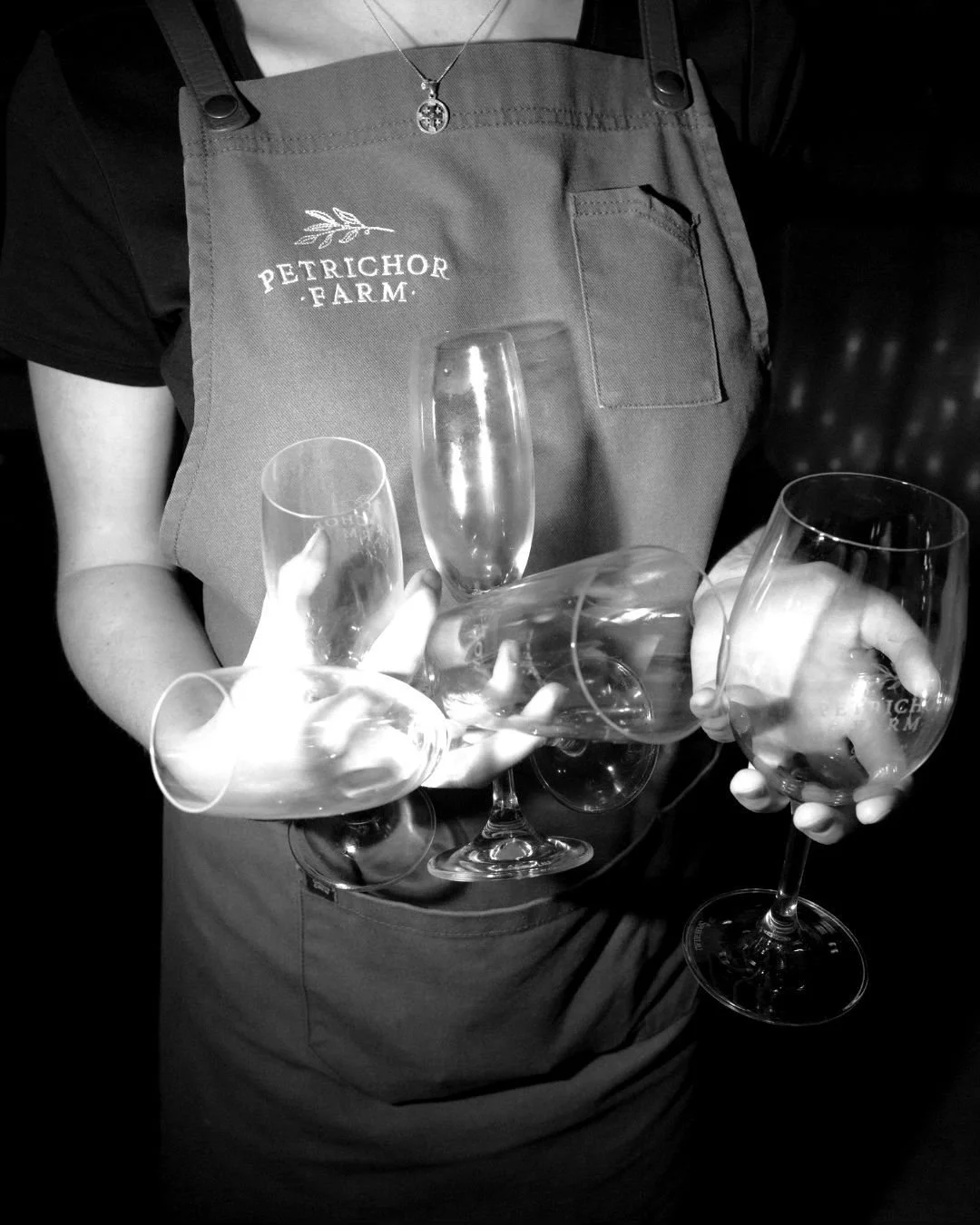🍷 Friendly. Professional. And occasionally&hellip; impressive jugglers. 😉
At Petrichor, our team is known for their warmth, calm energy, and ability to make your day flow effortlessly &mdash; but every now and then, they also show off some unexpect
