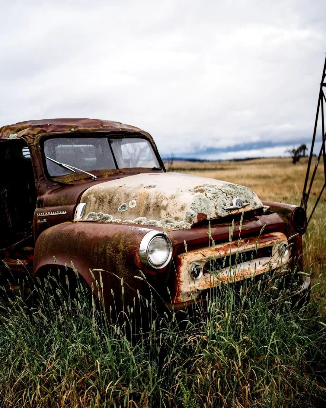 🚜 Rust never looked so good. ✨
Scattered around Petrichor you&rsquo;ll find a few old farm trucks &mdash; weathered by time, kissed by the sun, and full of stories we&rsquo;ll never quite know.
They&rsquo;ve become a bit iconic around here&hellip; p