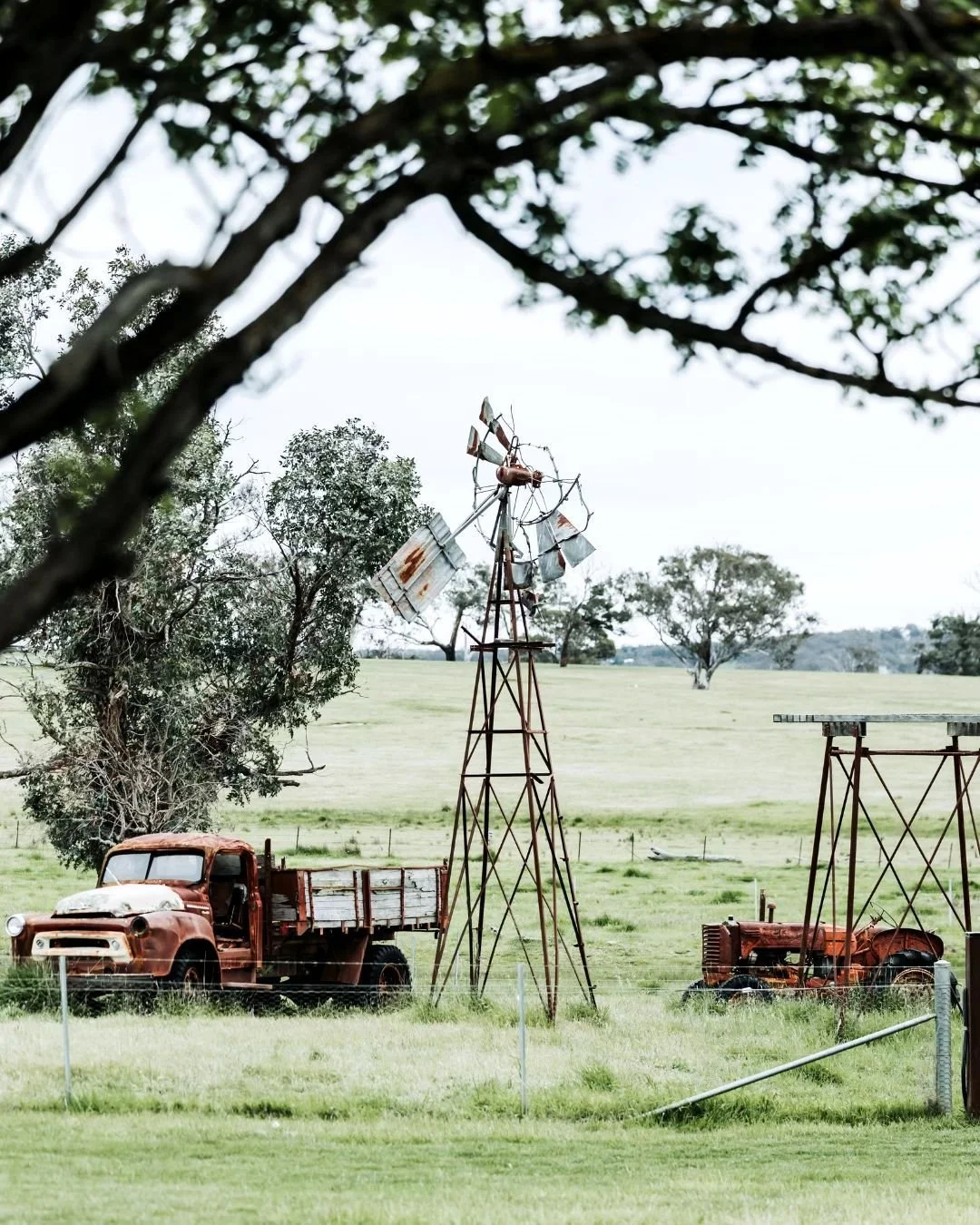 There&rsquo;s something about our old rusty truck, the tractor that&rsquo;s lived a thousand sunsets, and that windmill reaching quietly into the sky&hellip; they&rsquo;re little pieces of Petrichor history  and absolute treasures for photos. 🚜✨
Cou