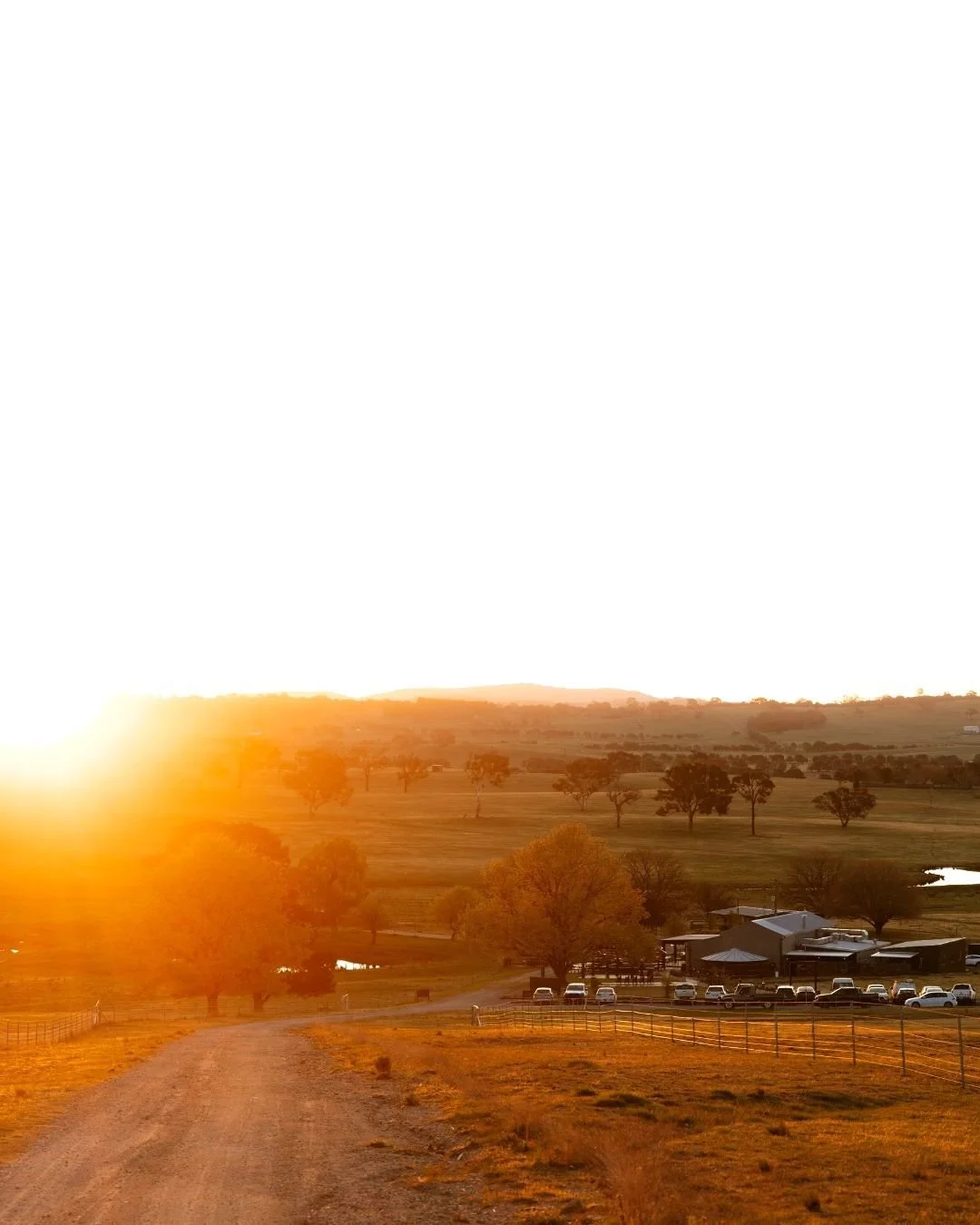 The sunsets at Petrichor Farm never disappoint. ✨
Every evening paints the paddocks in gold and soft pinks, wrapping the whole place in that warm, gentle glow we&rsquo;ve all fallen a little bit in love with. Couples wander out for photos and suddenl