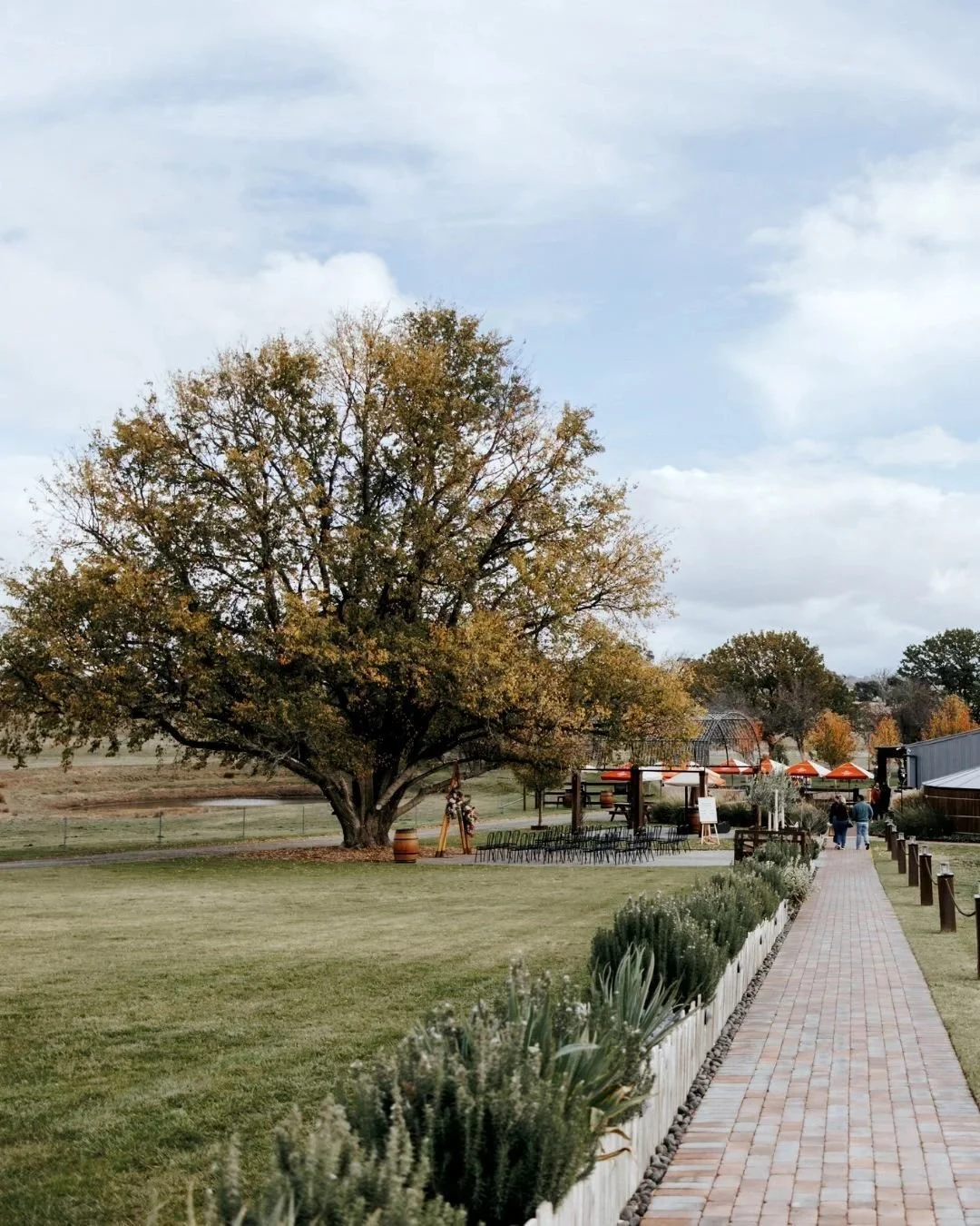 Wedding season has officially wrapped up at Petrichor Farm, and before we hibernate for the winter, we're opening the gates for one last  Farm Tour day on Saturday the  13 June 🌿
If you've been dreaming about a wedding surrounded by rolling hills, c
