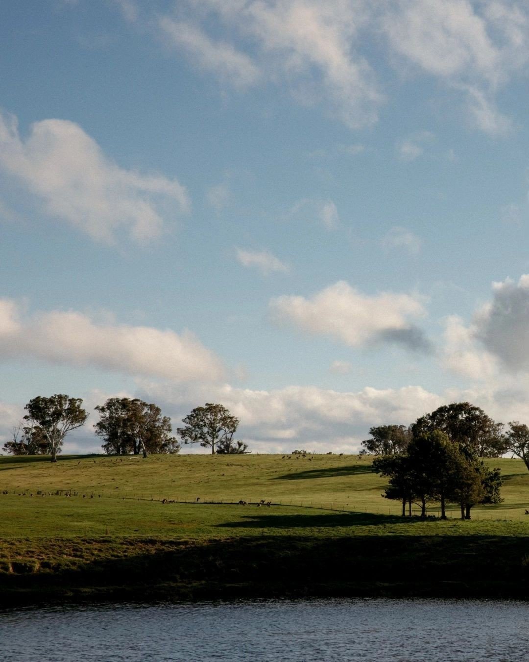 Engaged and dreaming of a country wedding at Petrichor Farm? ✨

Our next Farm Tour is happening on Saturday, 4 July. 
Let us showcase the property and help you  imagine your day unfolding here.
Bookings are essential , use the link in bio to schedule