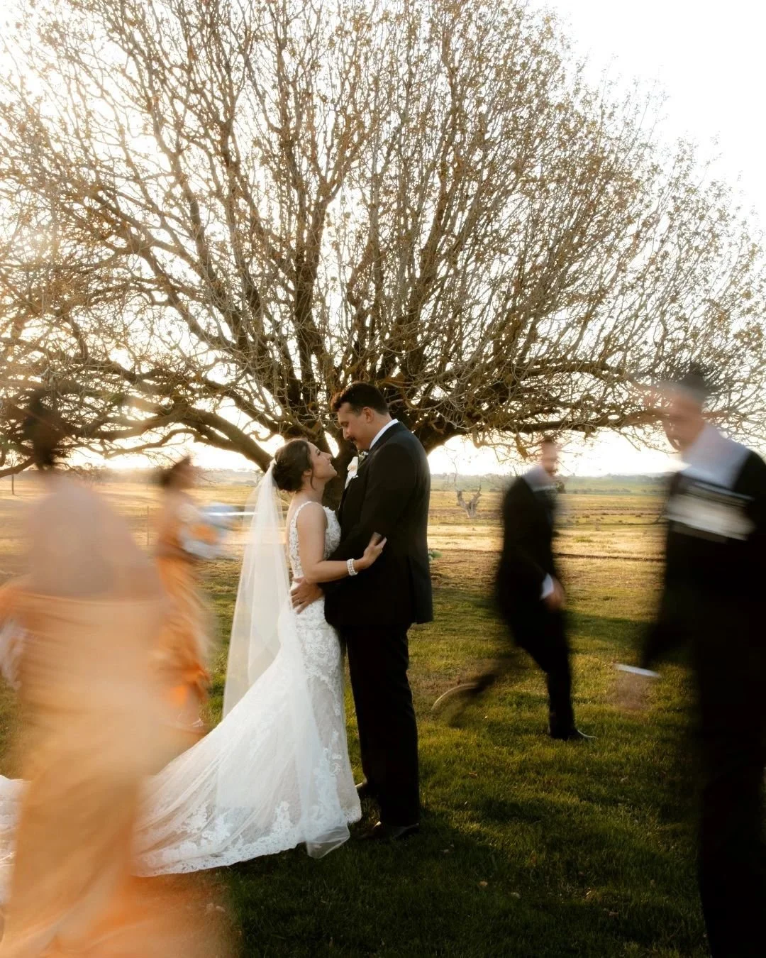 Weddings can be a blur, finding a moment in the day to be still can make it easier to take it all in. 
But right here, under this tree, with your person beside you... the world can wait.

Just for a moment, you pause. You breathe. You look at each ot