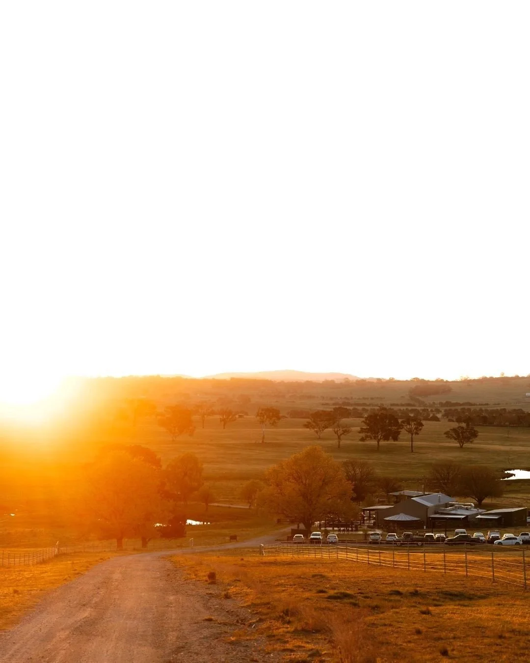 There's something about that first arrival at Petrichor Farm. The way the driveway winds through the property, framed by open countryside and golden light. The way the landscape seems to quiet your mind and settle your heart.
For many couples, it's t
