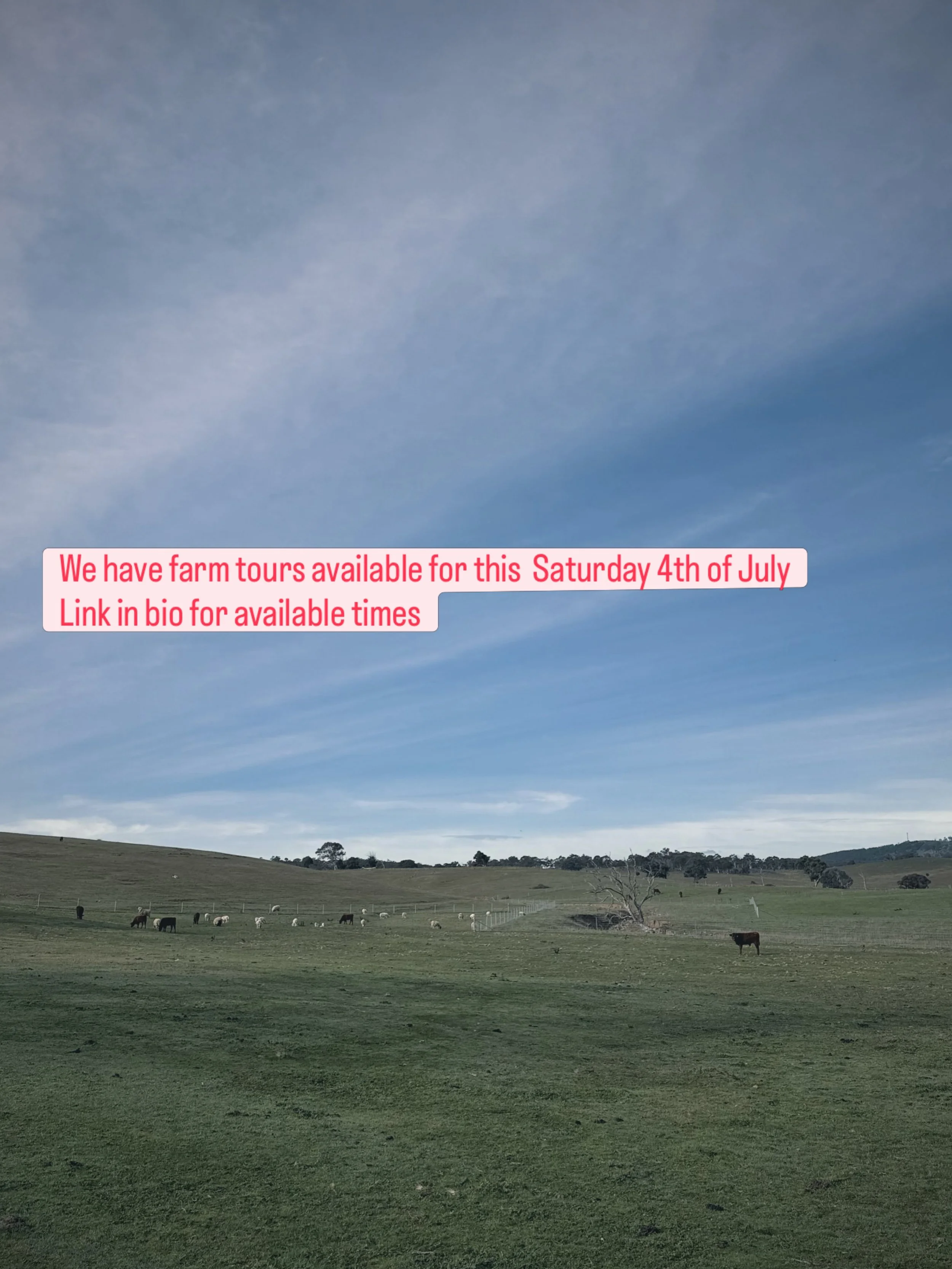 Farm tours available this Saturday link in bio to schedule a time