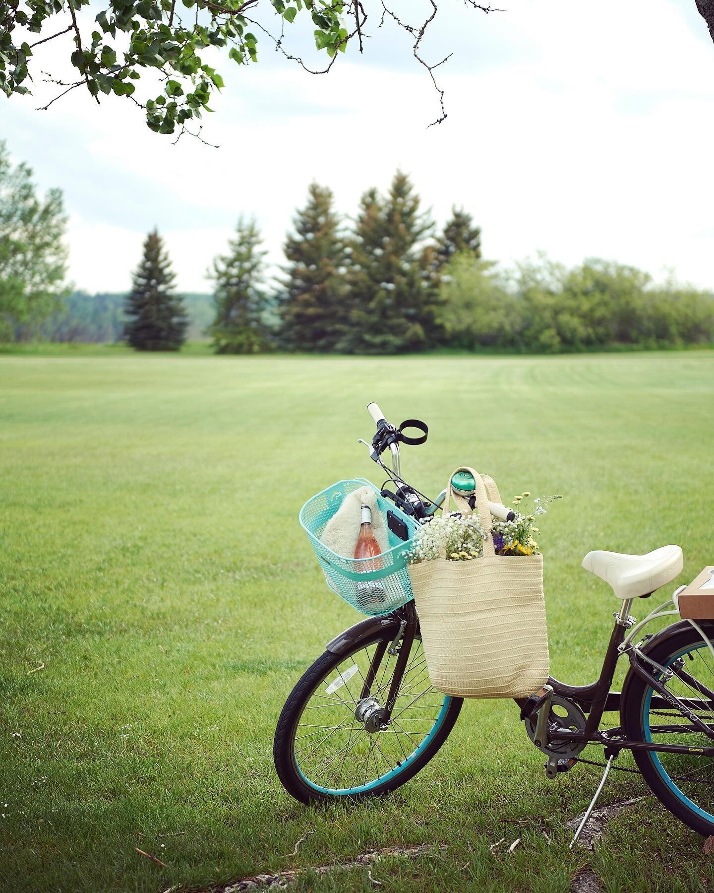 All set for a bike ride to one of our favourite spots for a perfect little picnic in the park. 

#luxurypicnic #yycsmallbusiness #picnicinthepark #popuppicnic #yycevents #calgarypicniccompany #yycengagement #picnicevents #calgaryparks #northglenmorep