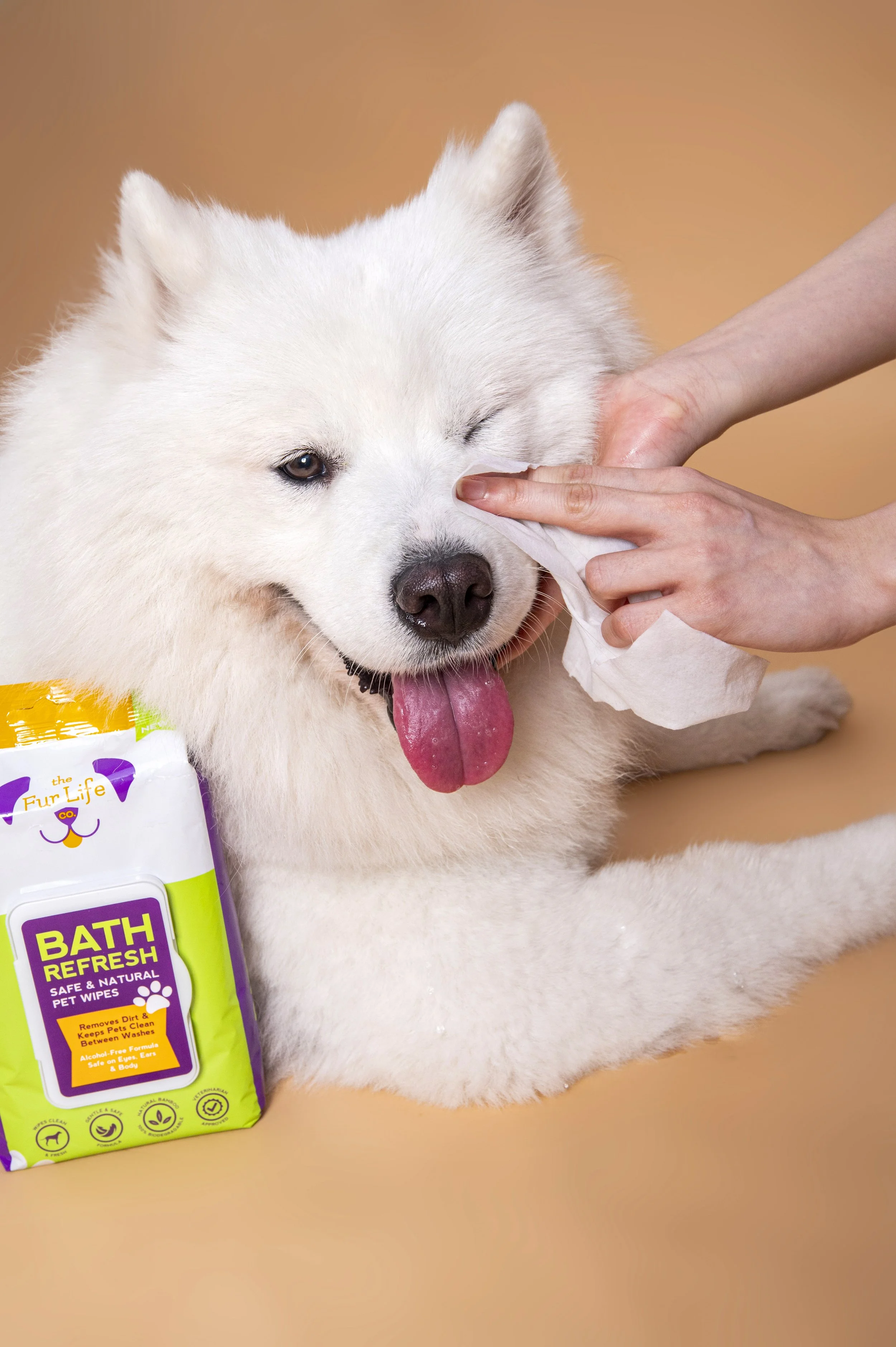 The Fur Life (Model)-488.jpg