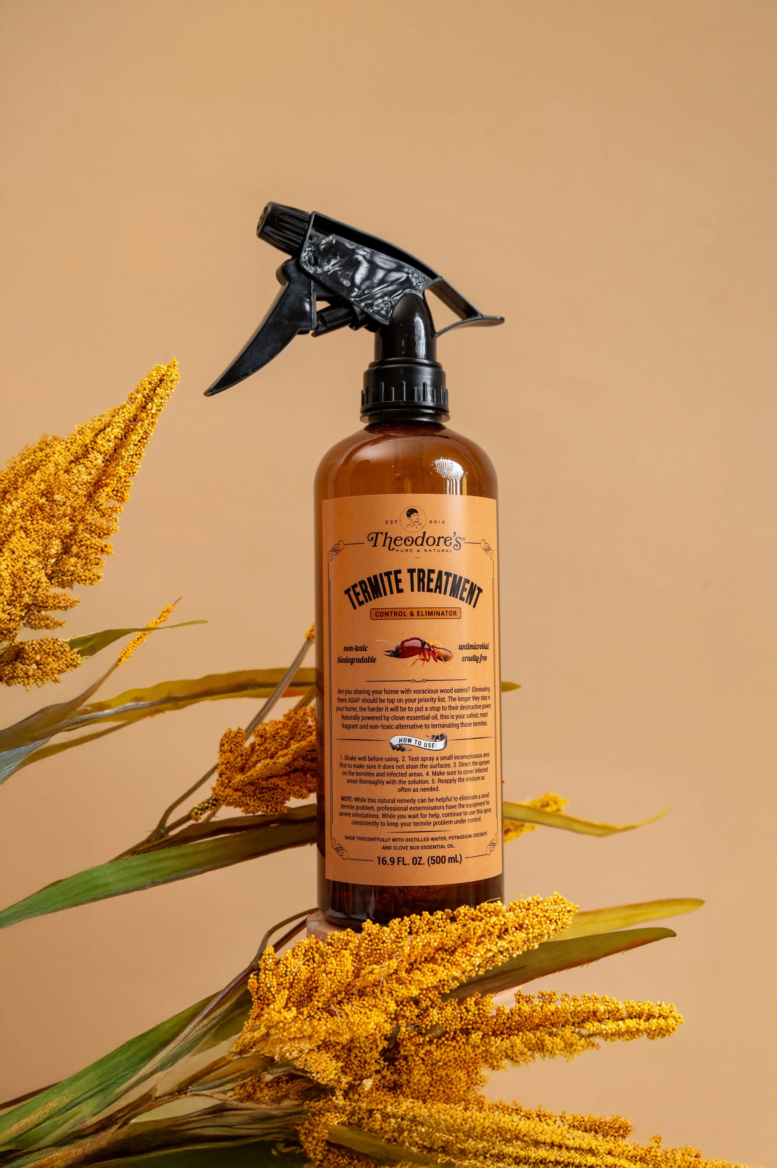 Theodore Day 3 (205) - EXPANDED SHOT.jpg