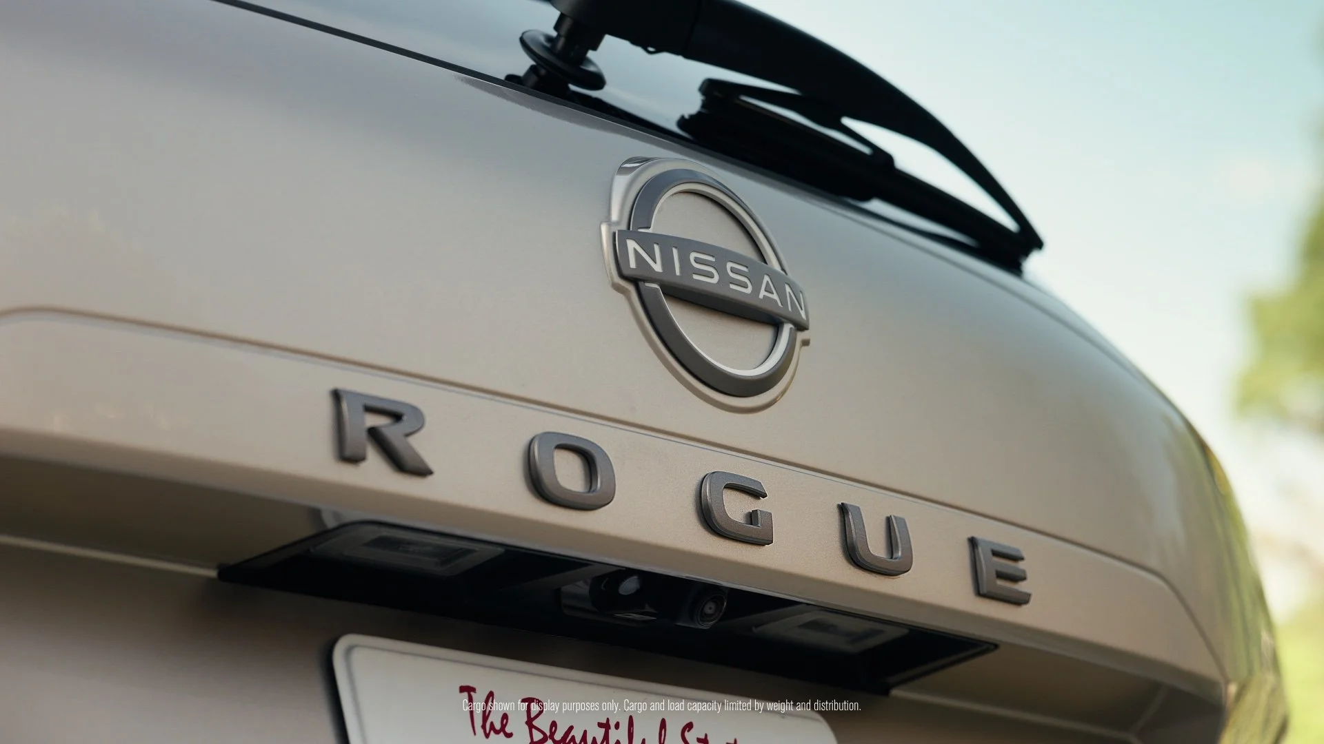 Rogue5.jpg