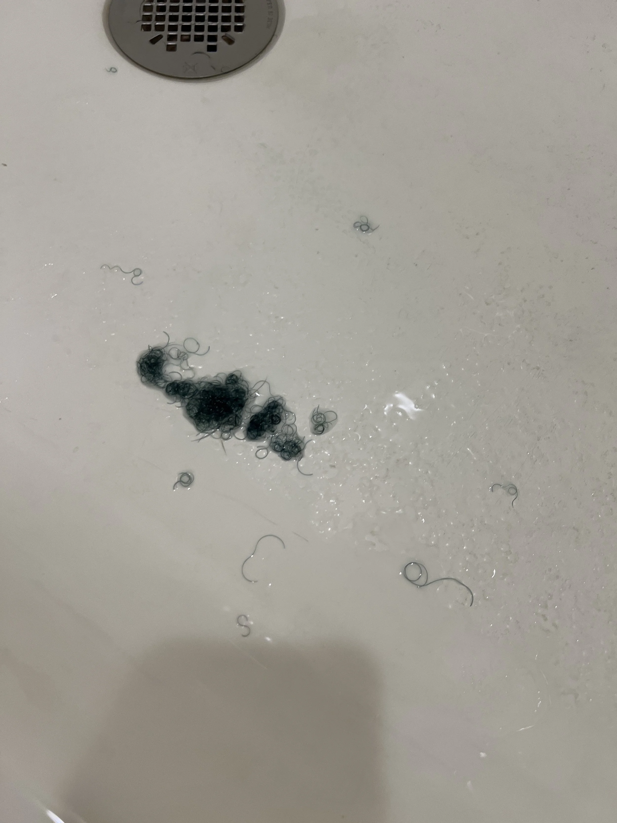 36. morning after, added conditioner to my ends