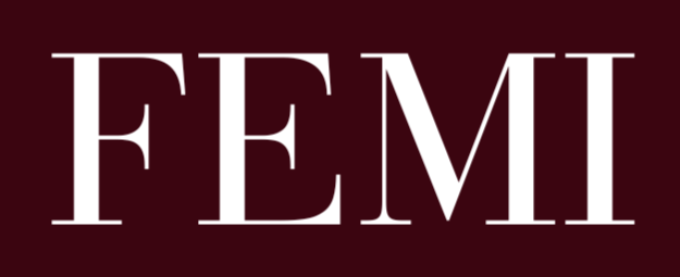The Femi Agency
