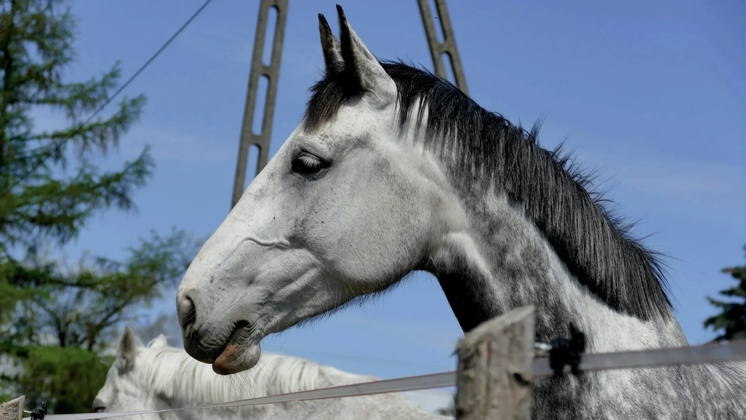 Welche Themen bringen dich weiter?