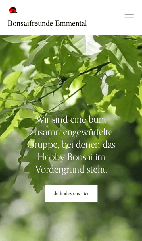 Webseite von Bonsai Freunde Emmental mit Eicheblätter im Hintergrund