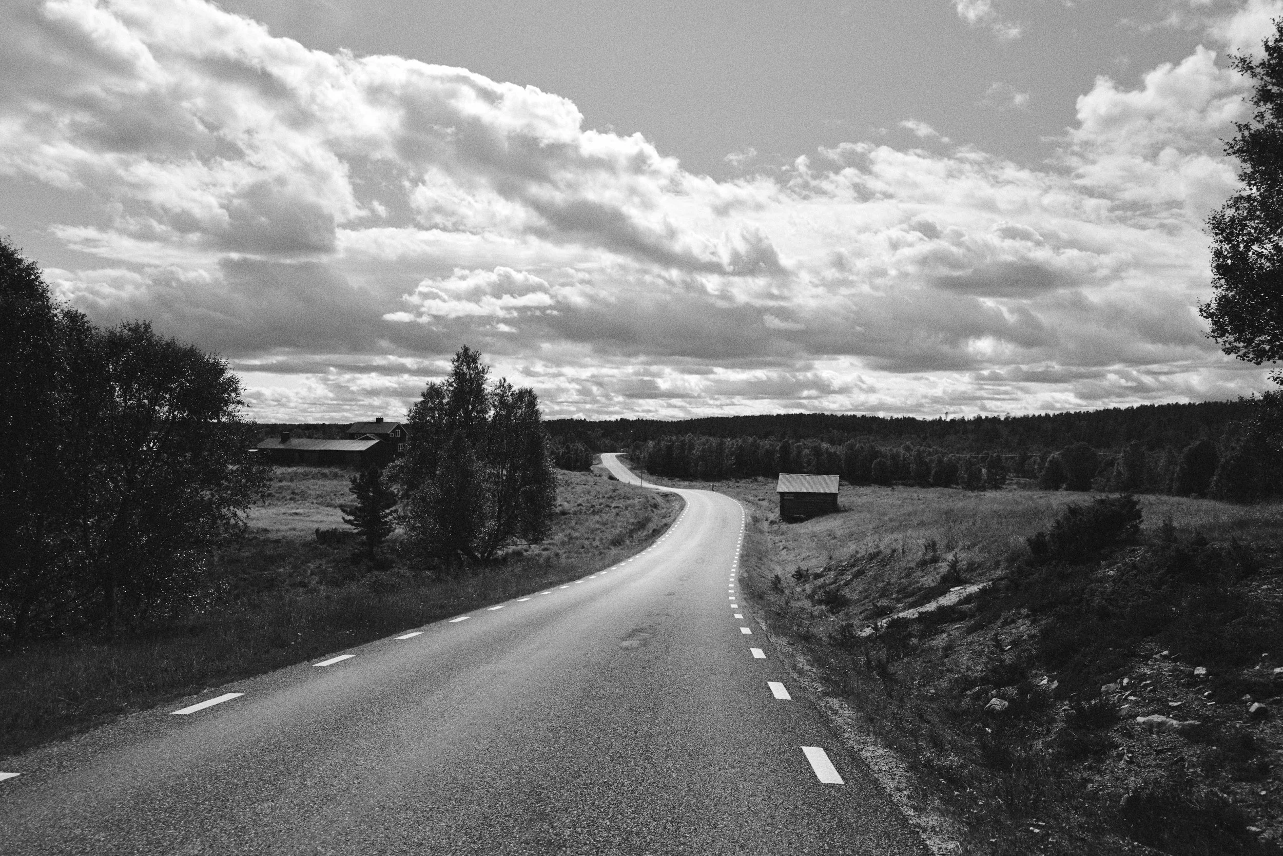L1029971.jpg