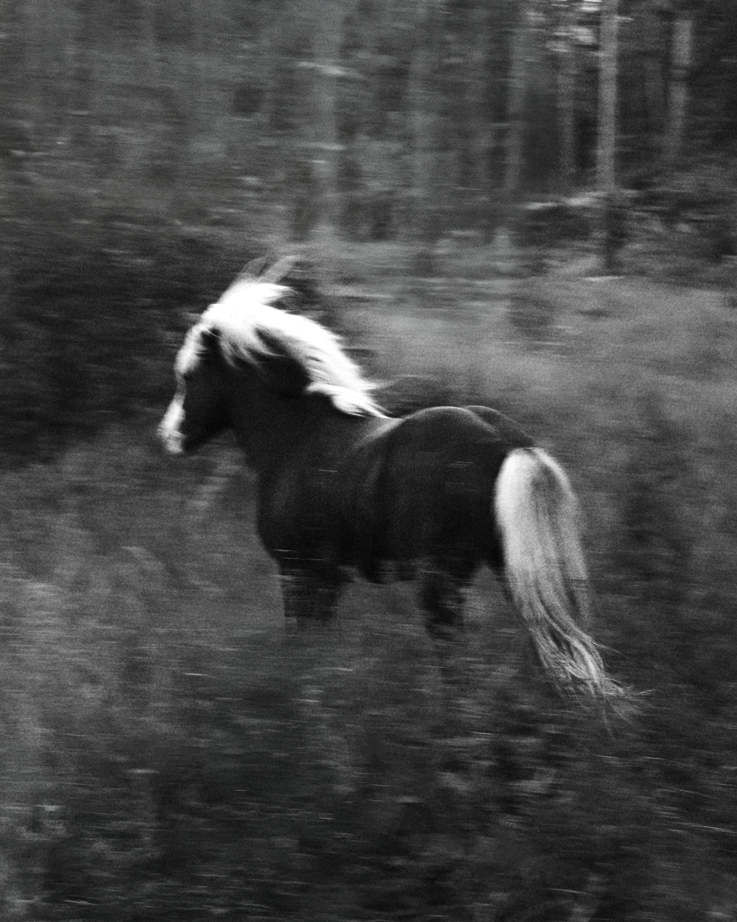 L1029490 1.jpg
